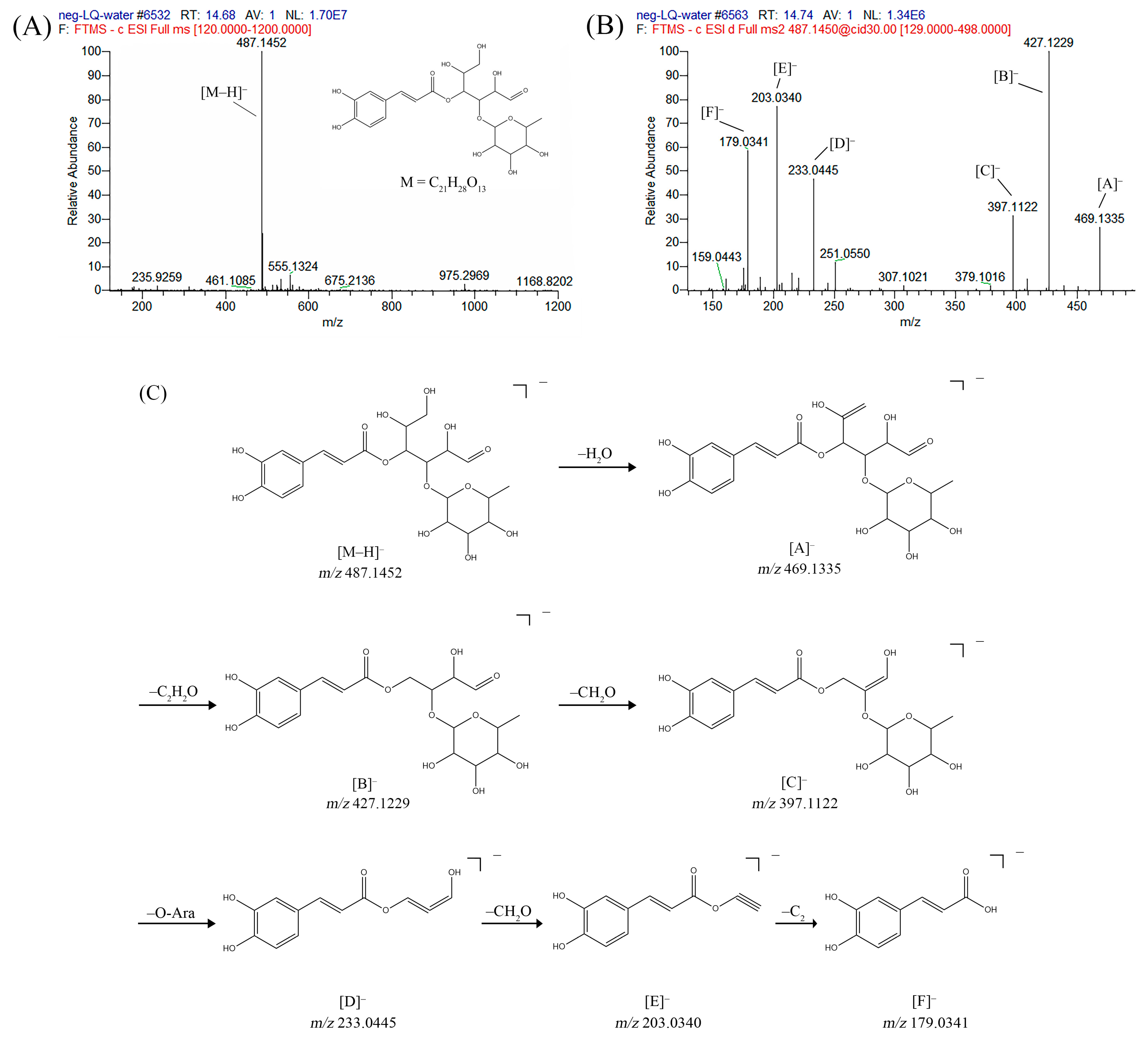 Pharmaceuticals 17 00740 g001