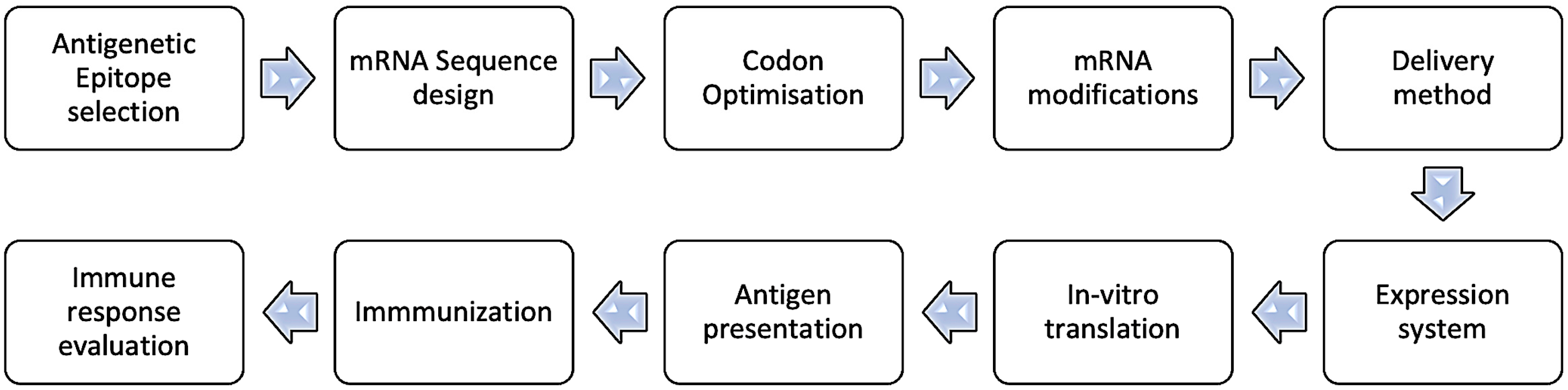 Pharmaceuticals 17 00741 g002