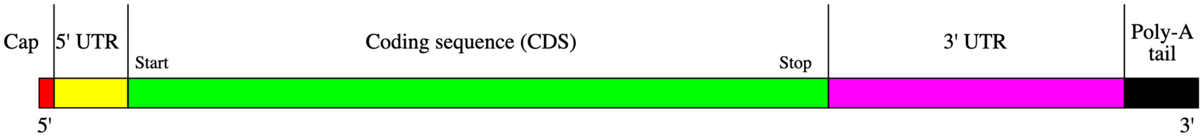 Pharmaceuticals 17 00741 g003