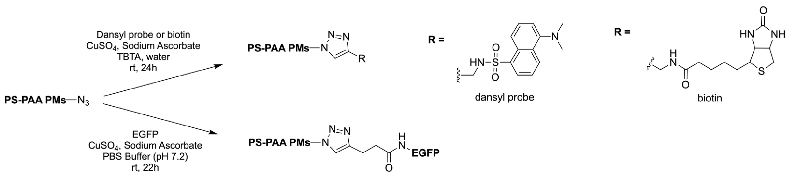 Pharmaceuticals 17 00747 g005