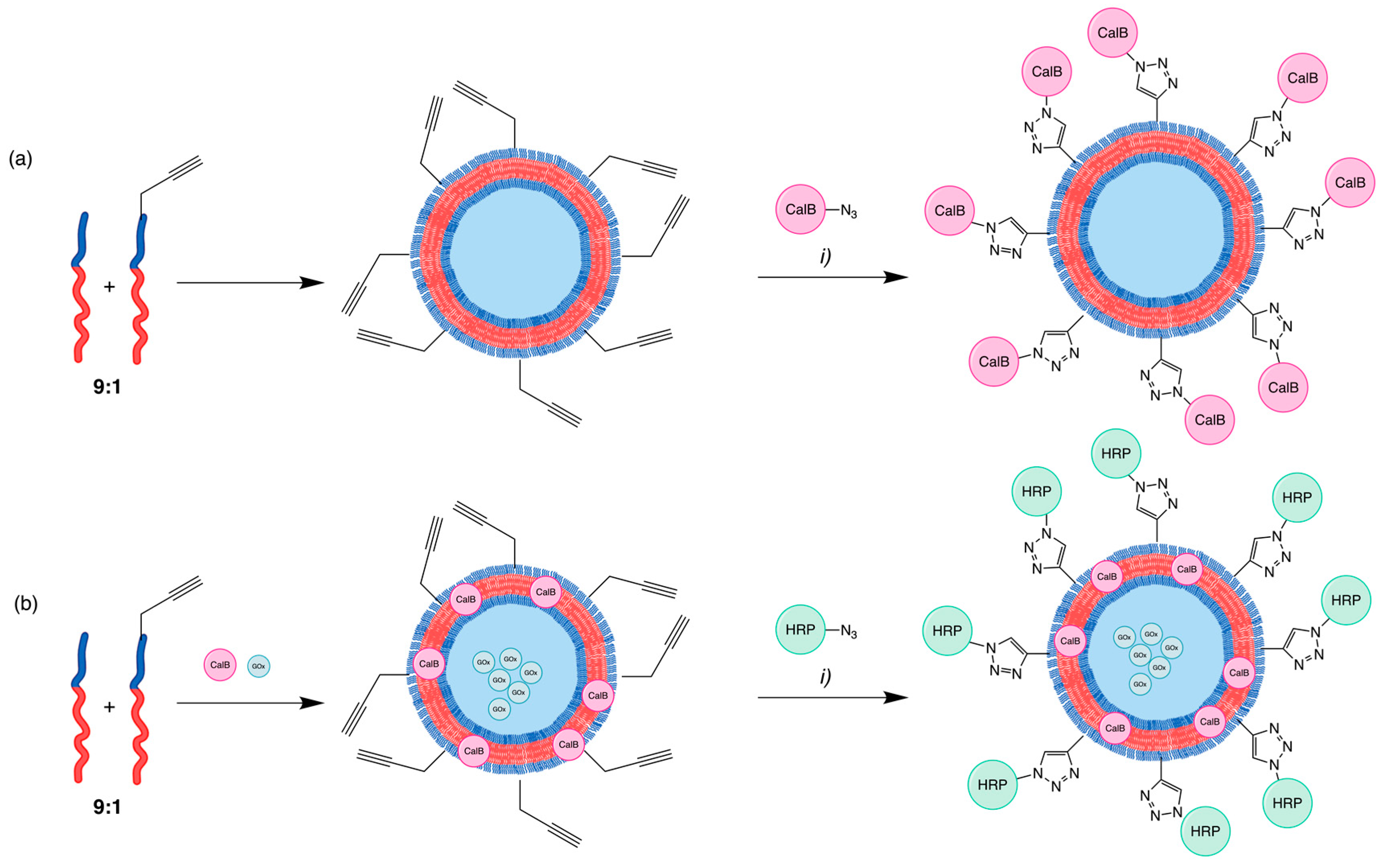Pharmaceuticals 17 00747 g006