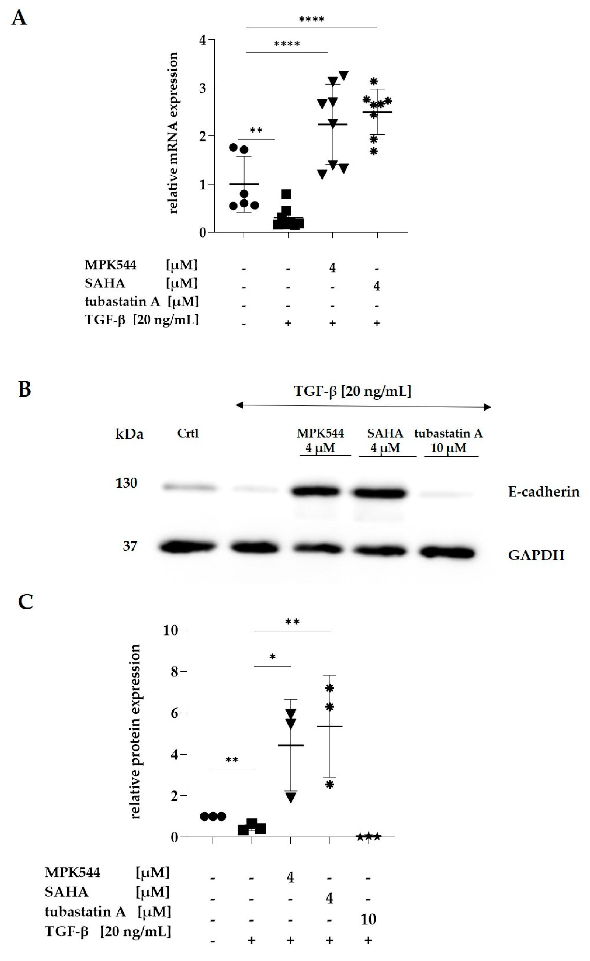 Pharmaceuticals 17 00752 g003