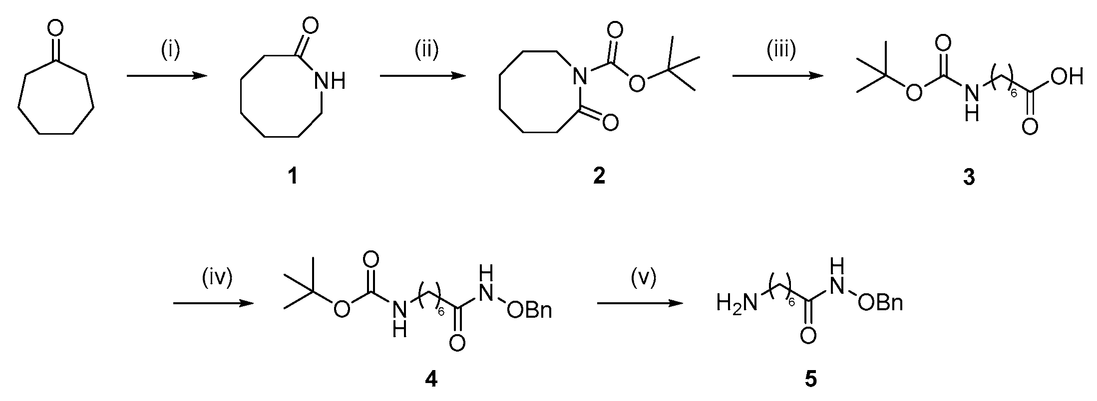 Pharmaceuticals 17 00752 sch003