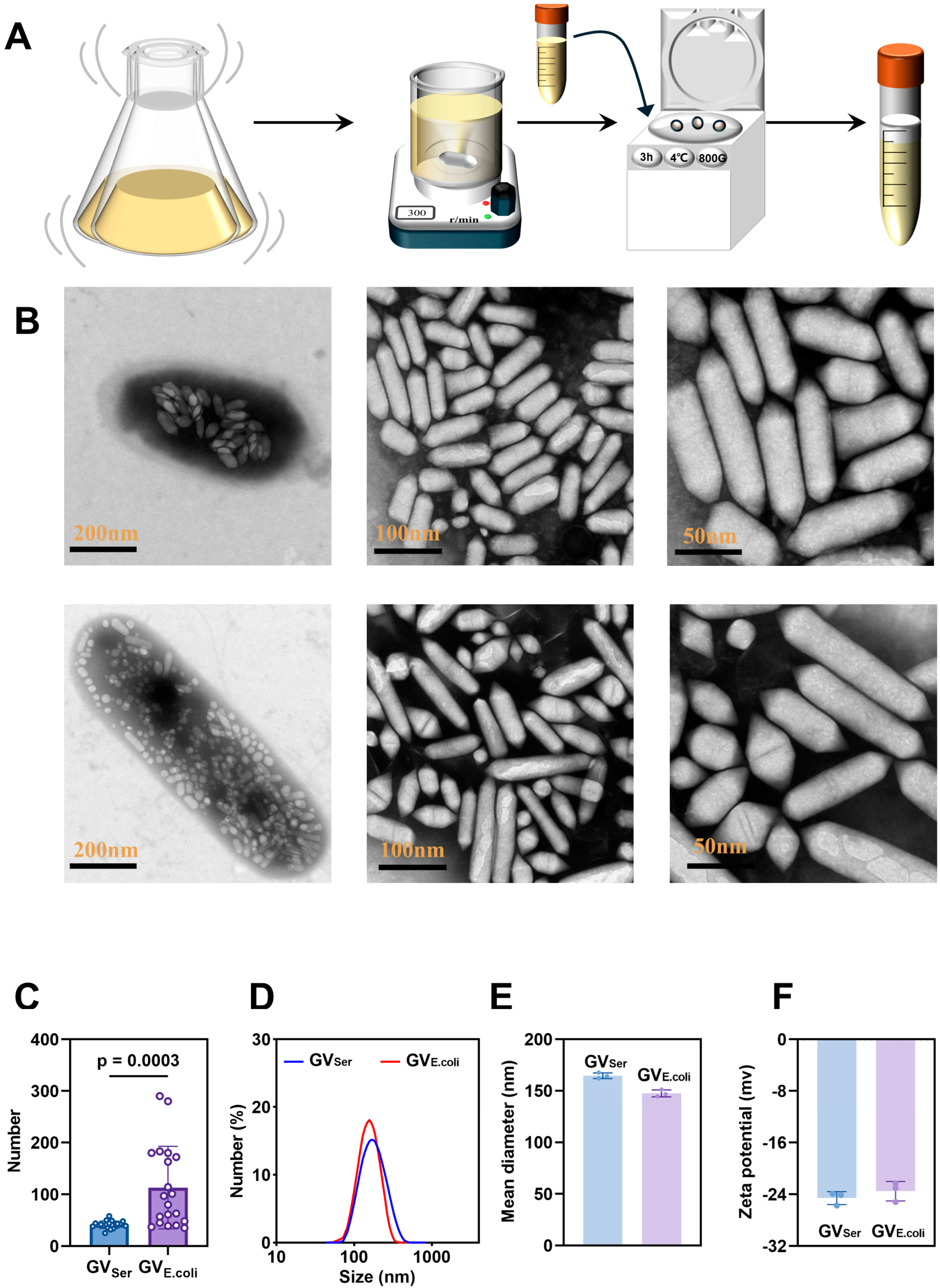 Pharmaceuticals 17 00755 g001