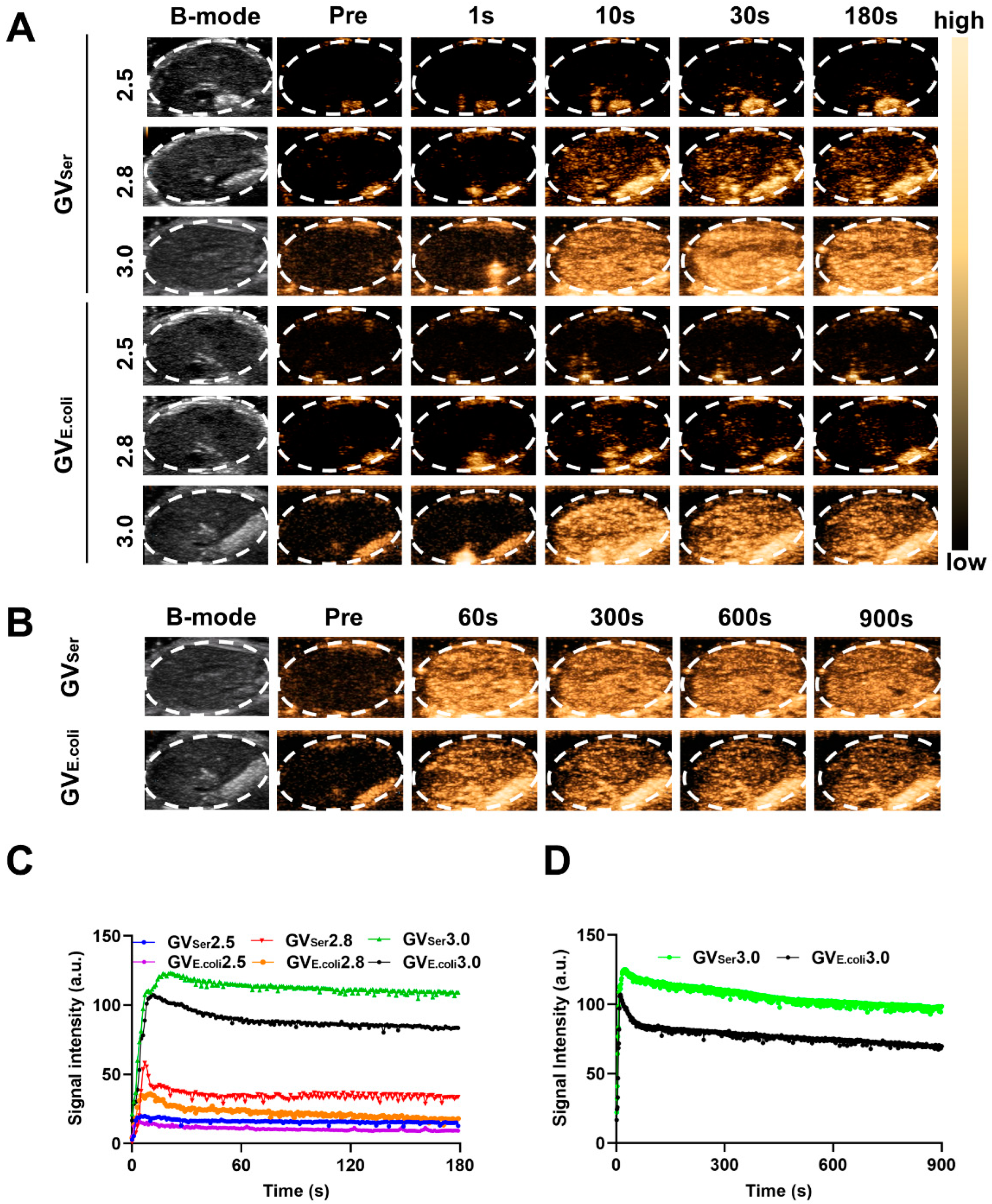 Pharmaceuticals 17 00755 g003