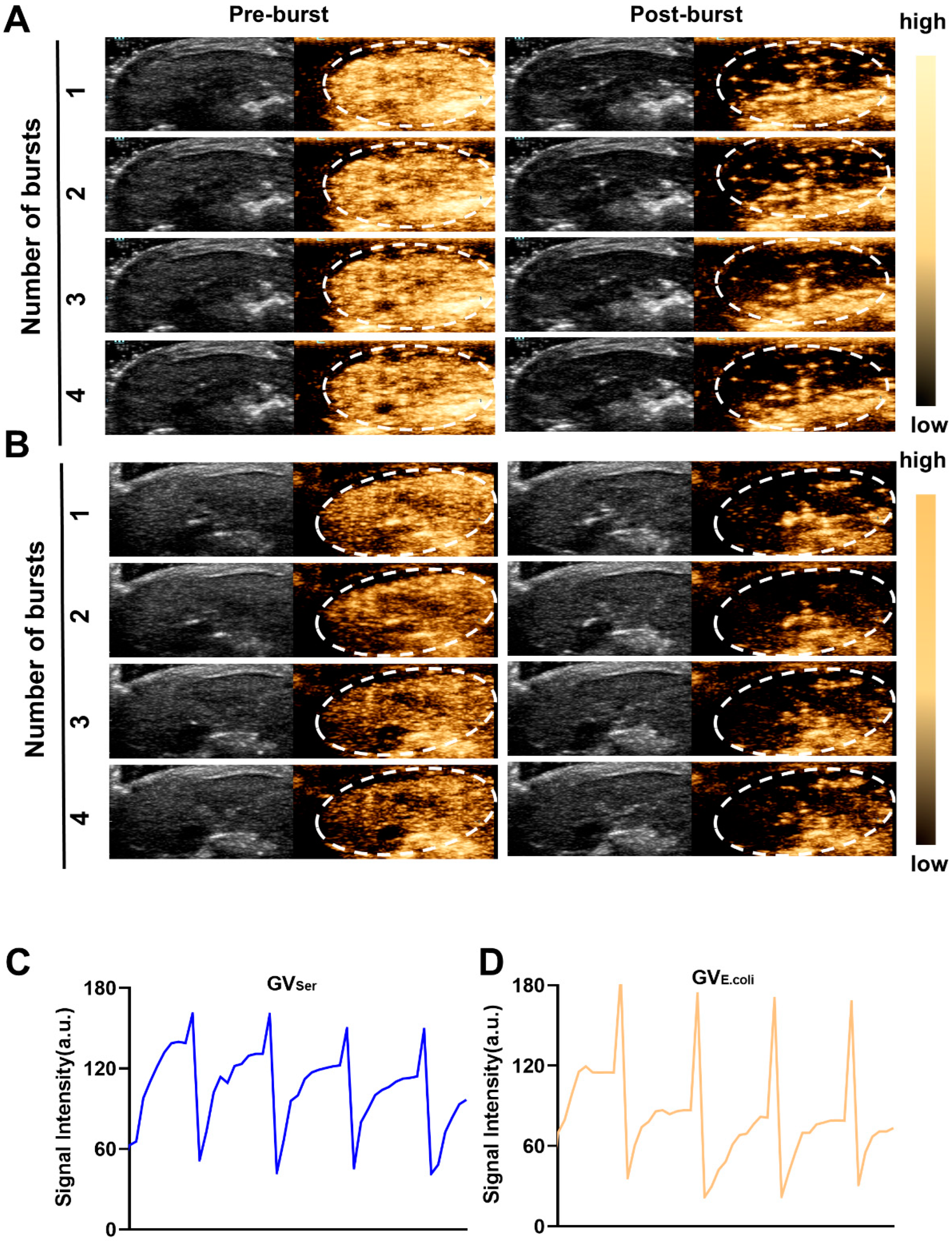 Pharmaceuticals 17 00755 g004