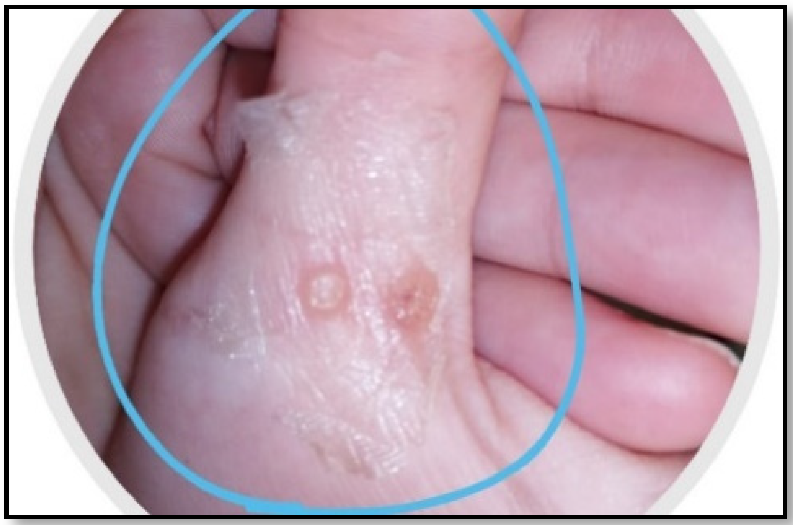 Pharmaceuticals 17 00759 g001