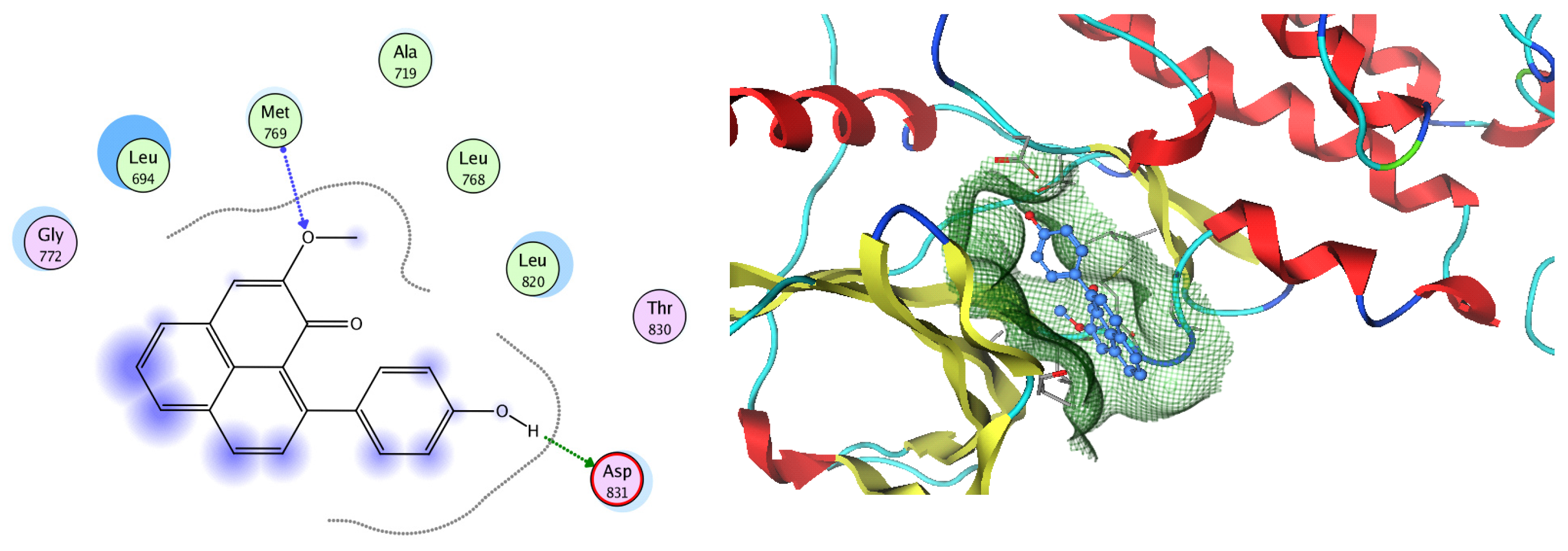 Pharmaceuticals 17 00759 g019