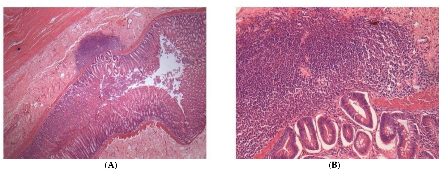 Pharmaceuticals 17 00767 g005