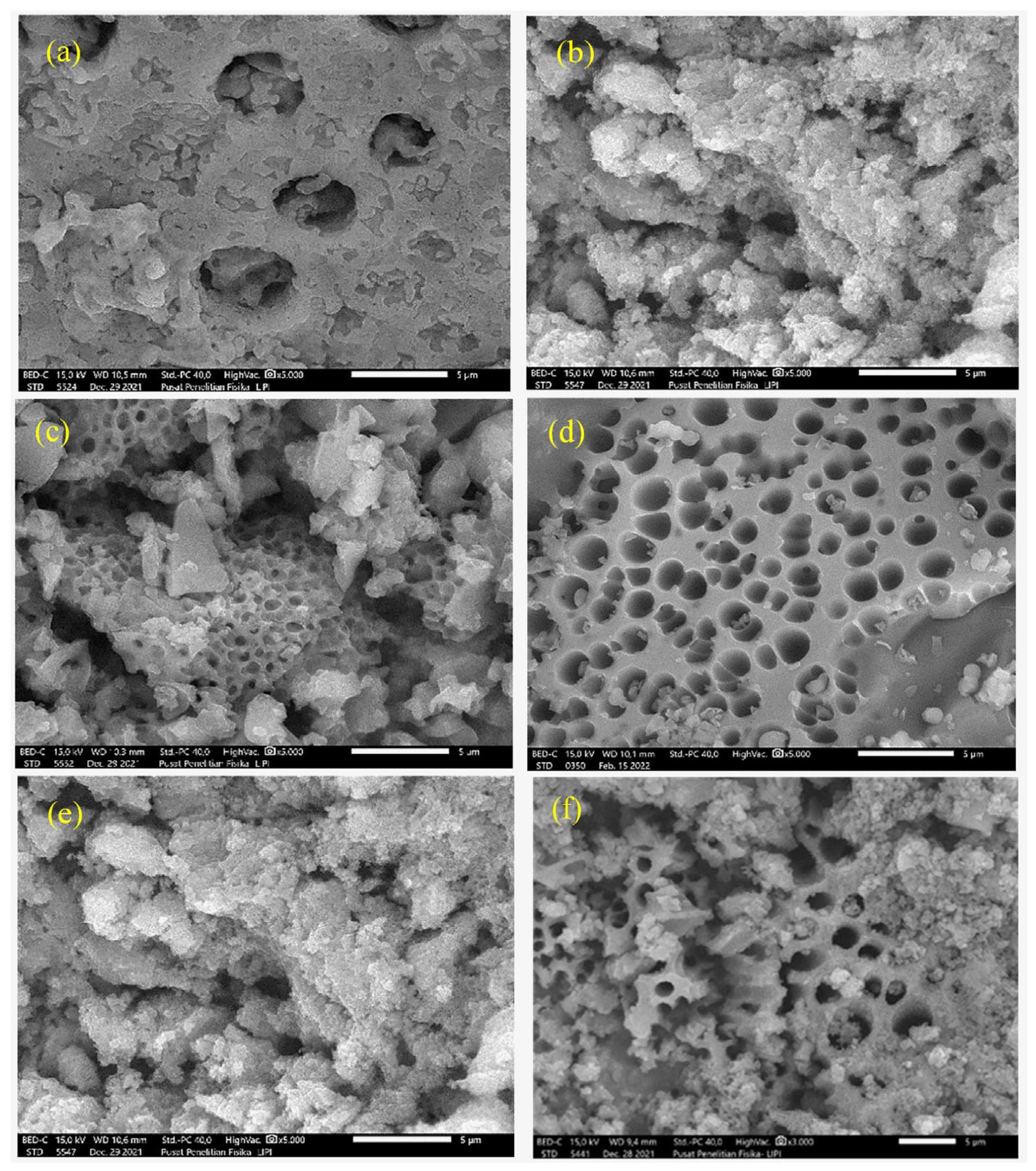 Pharmaceuticals 17 00770 g003