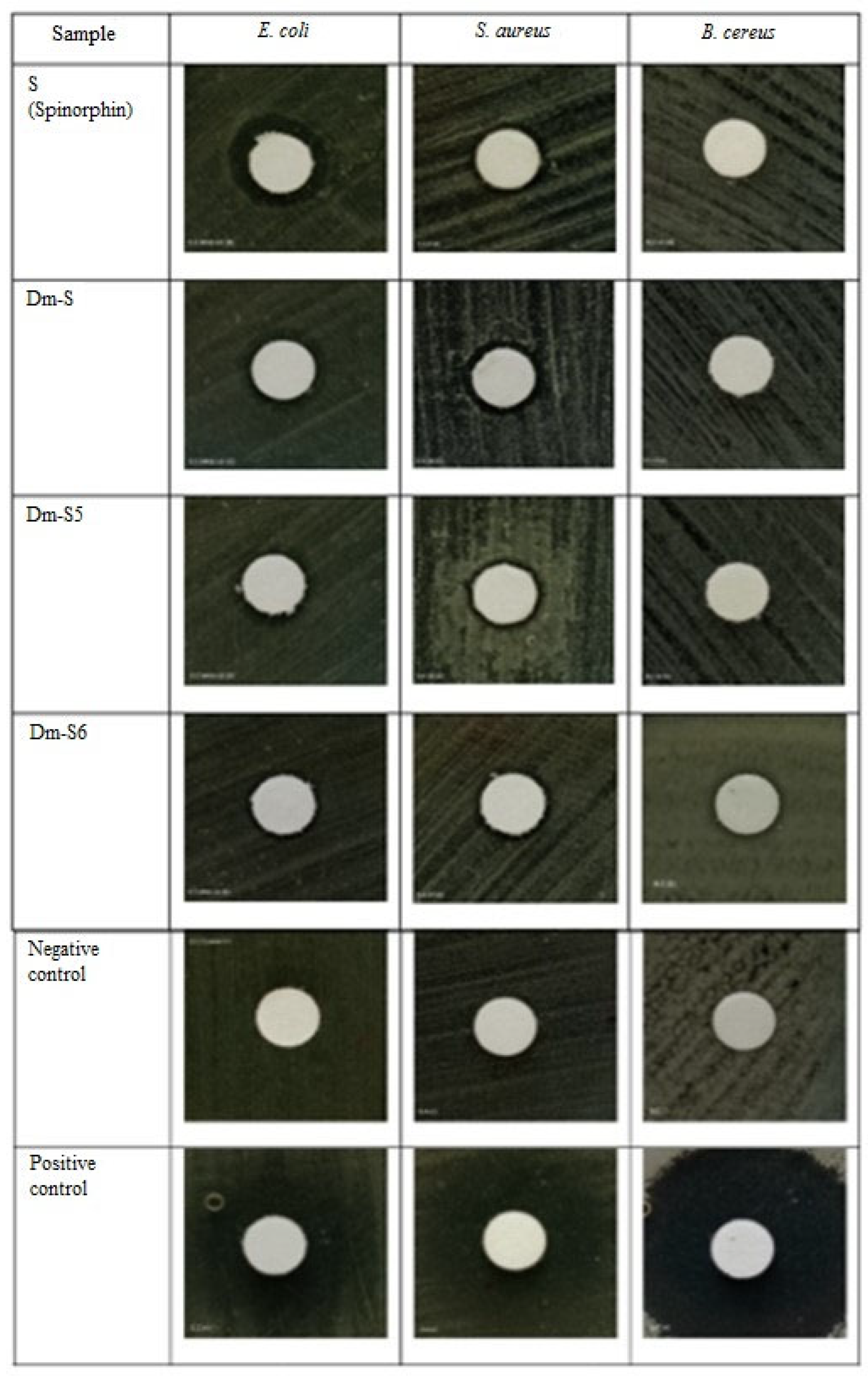 Pharmaceuticals 17 00770 g013