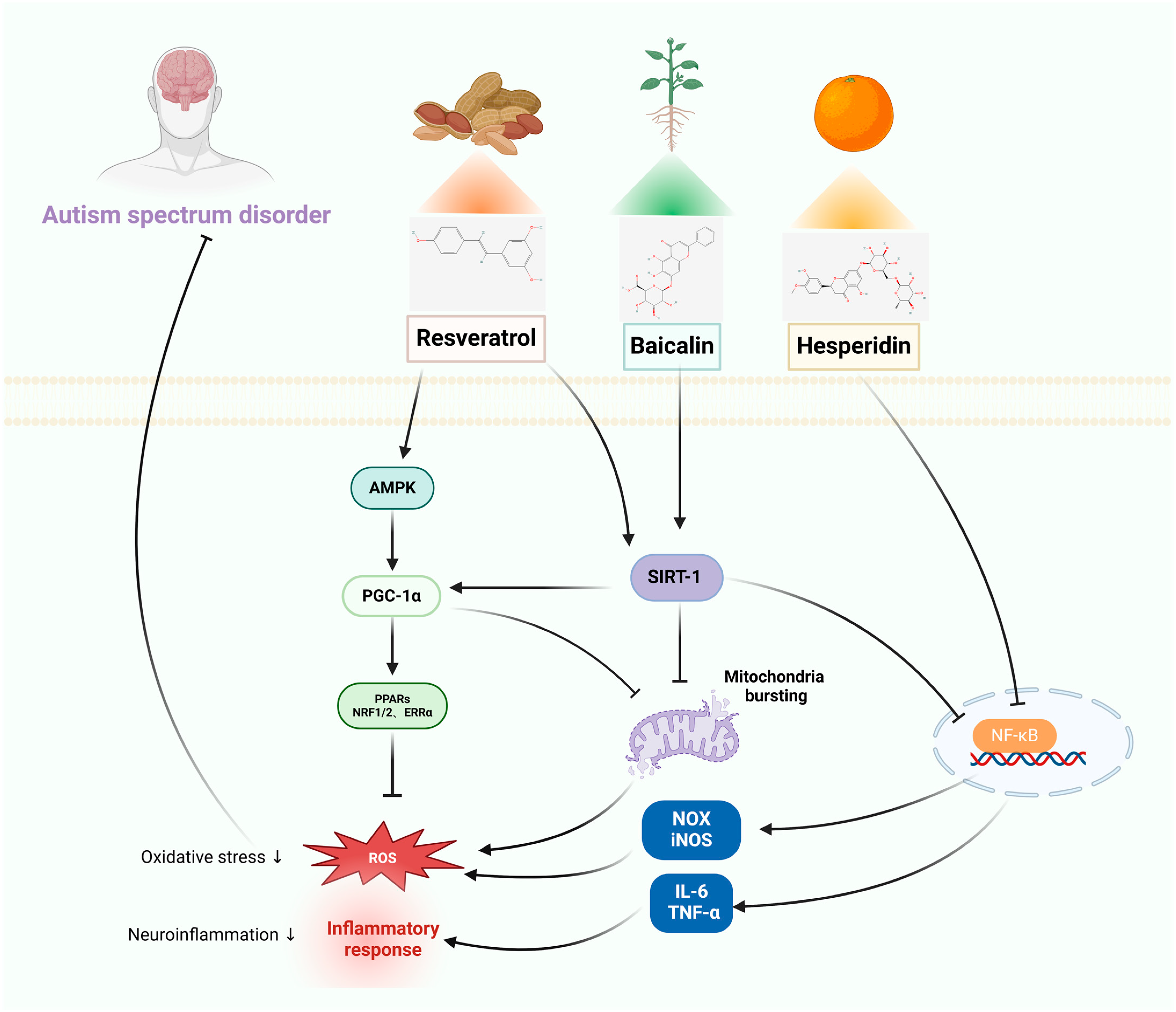 Pharmaceuticals 17 00775 g001 Pharmaceuticals 17 00775 g001