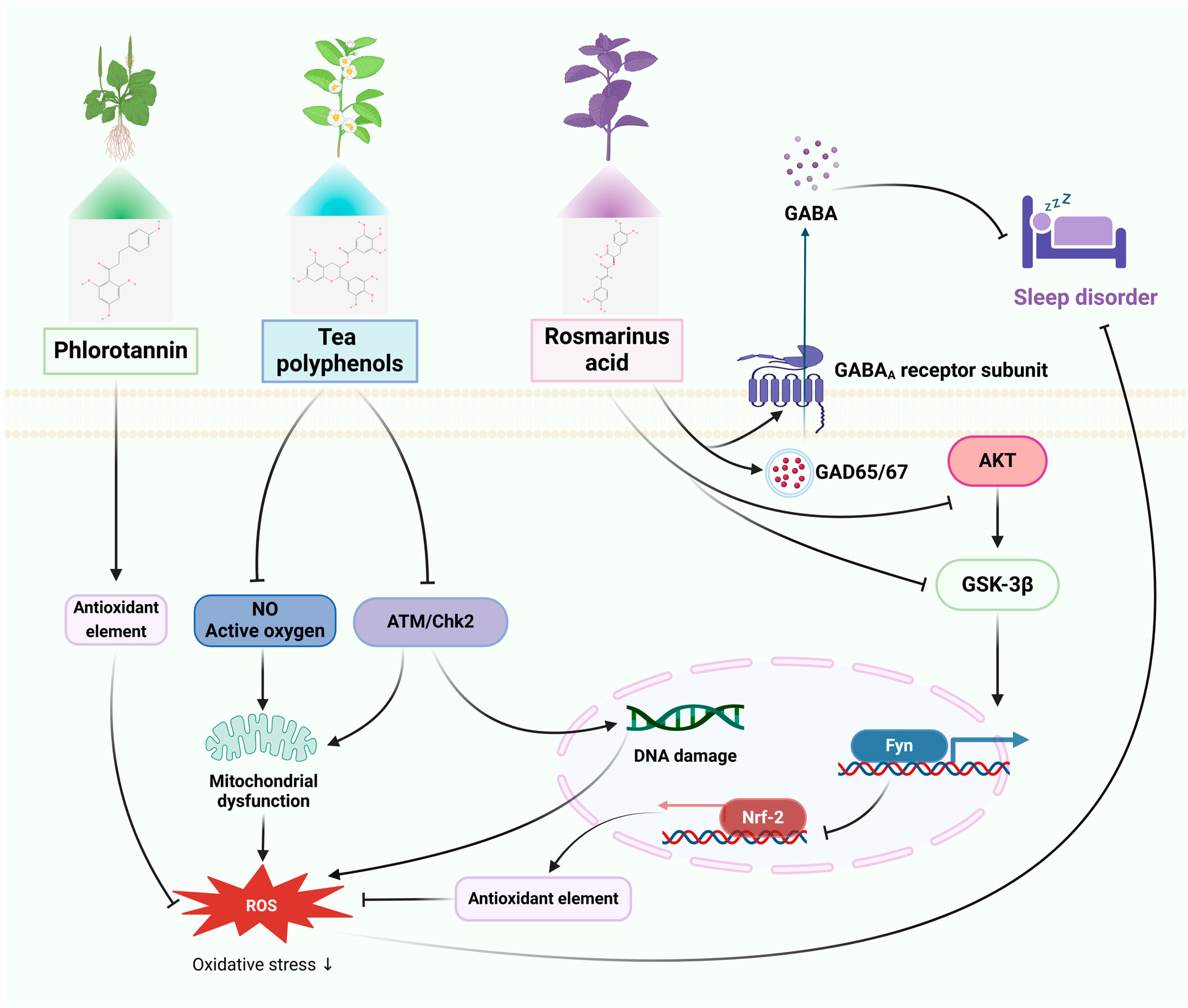 Pharmaceuticals 17 00775 g002 Pharmaceuticals 17 00775 g002