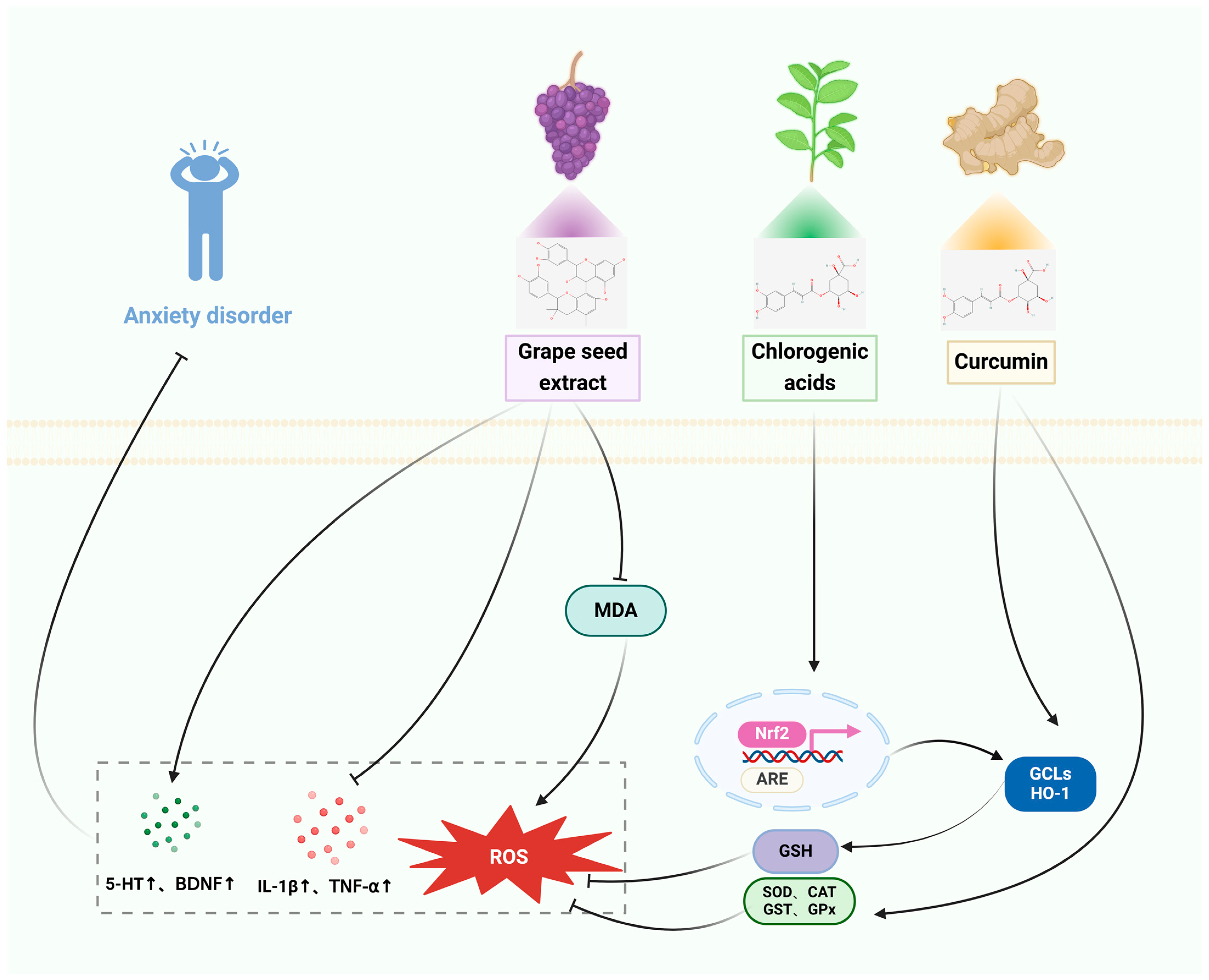 Pharmaceuticals 17 00775 g003 Pharmaceuticals 17 00775 g003