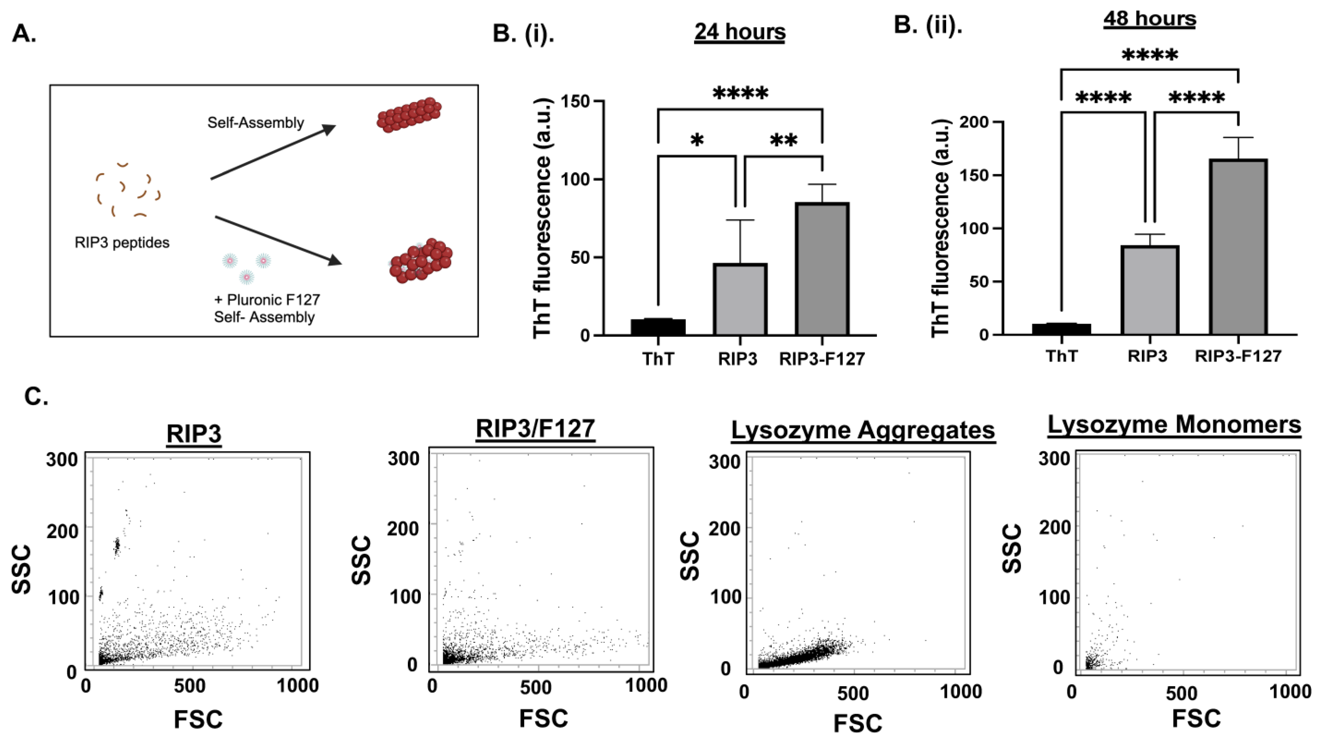 Pharmaceuticals 17 00777 g001