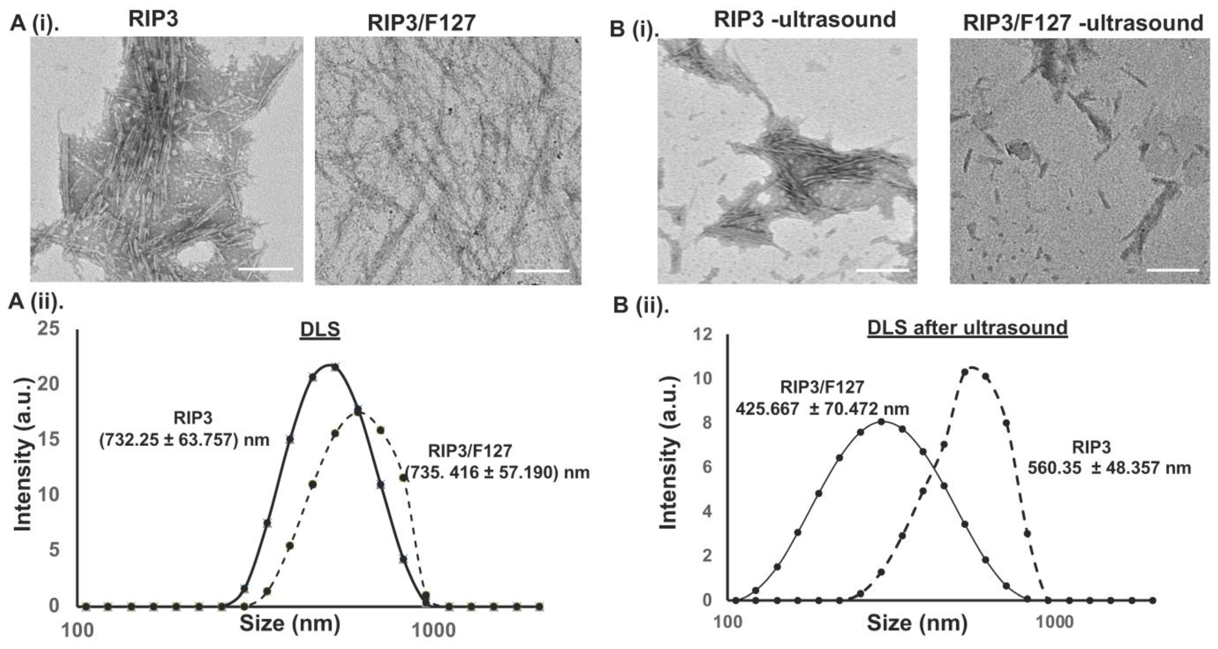 Pharmaceuticals 17 00777 g002