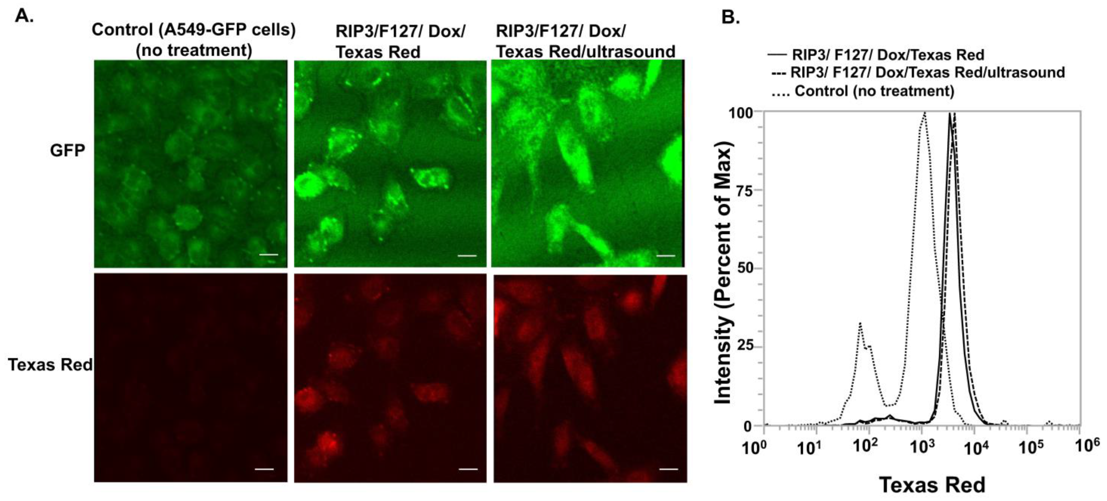 Pharmaceuticals 17 00777 g004
