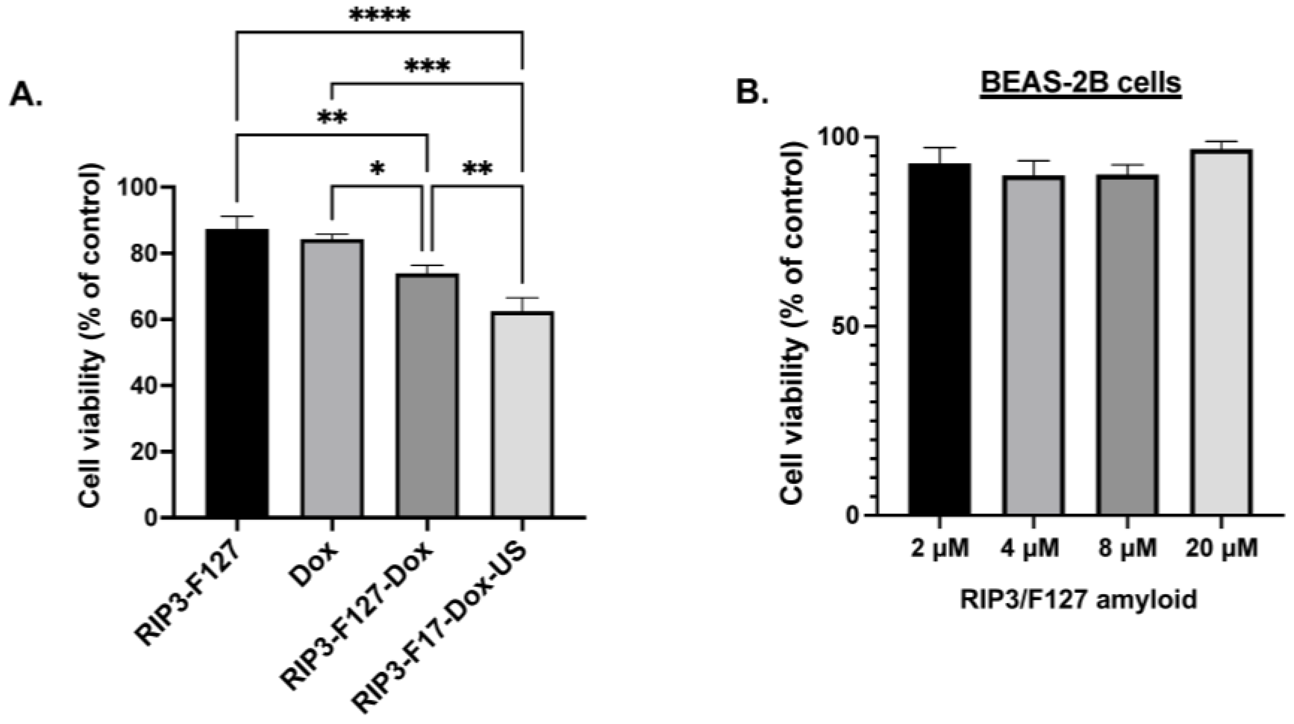 Pharmaceuticals 17 00777 g005
