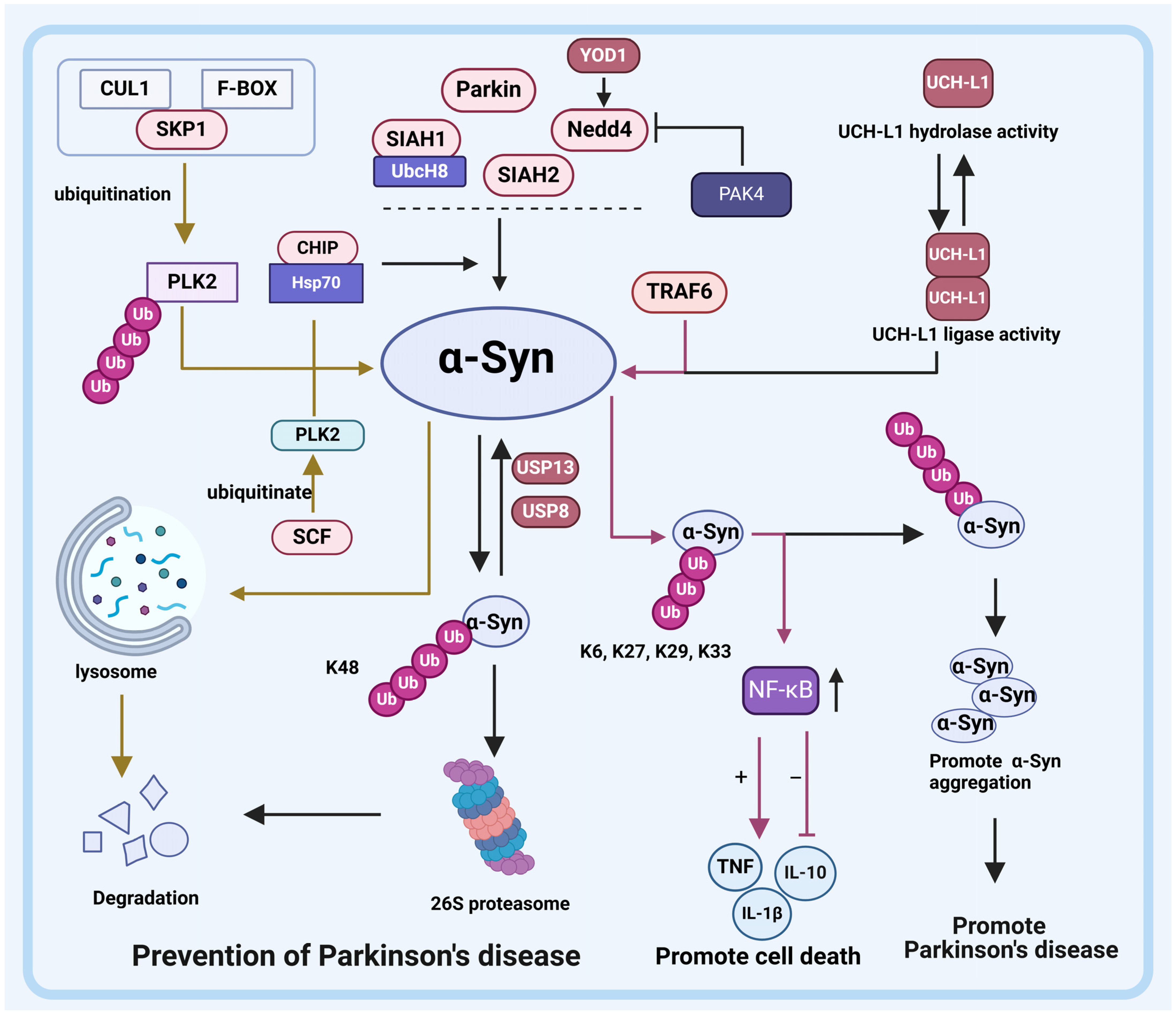 Pharmaceuticals 17 00782 g003