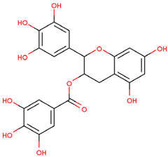 Pharmaceuticals 17 00782 i006