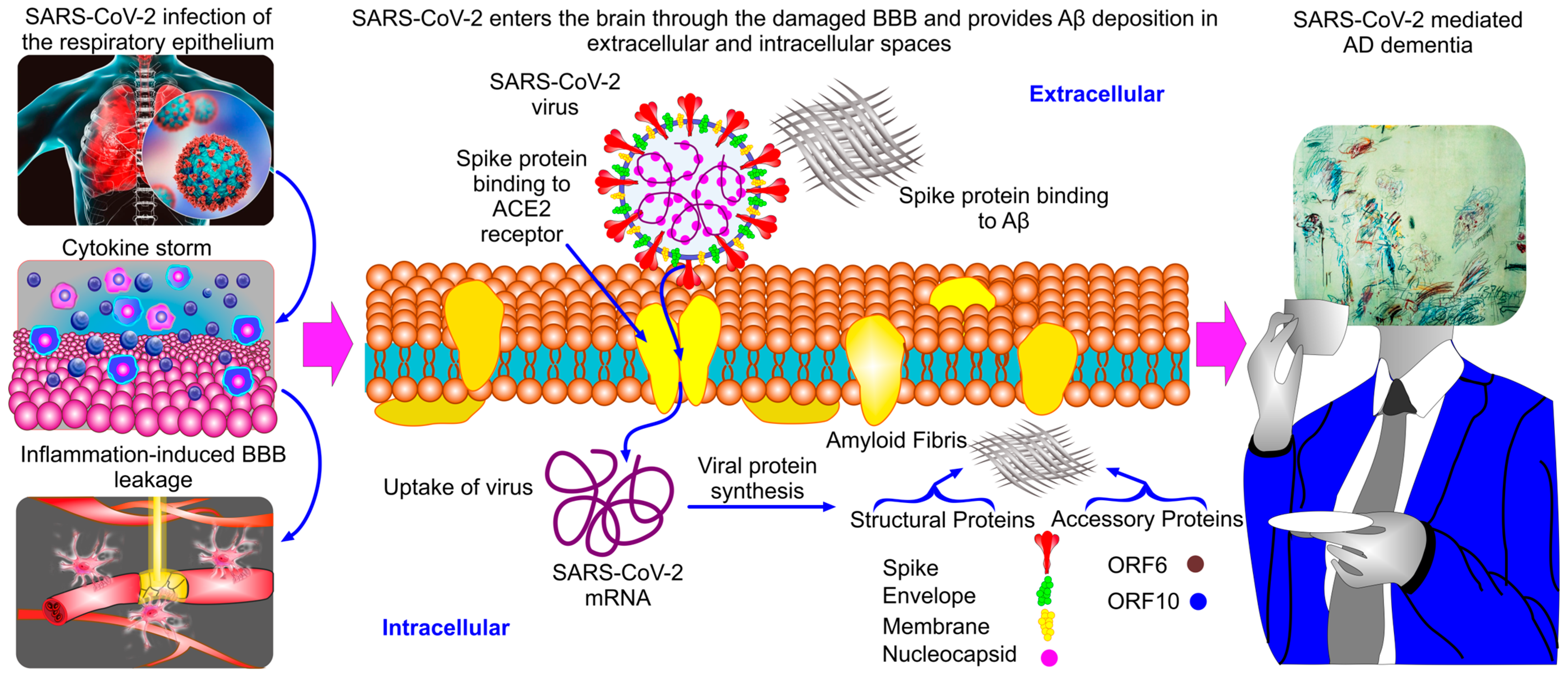 Pharmaceuticals 17 00788 g001