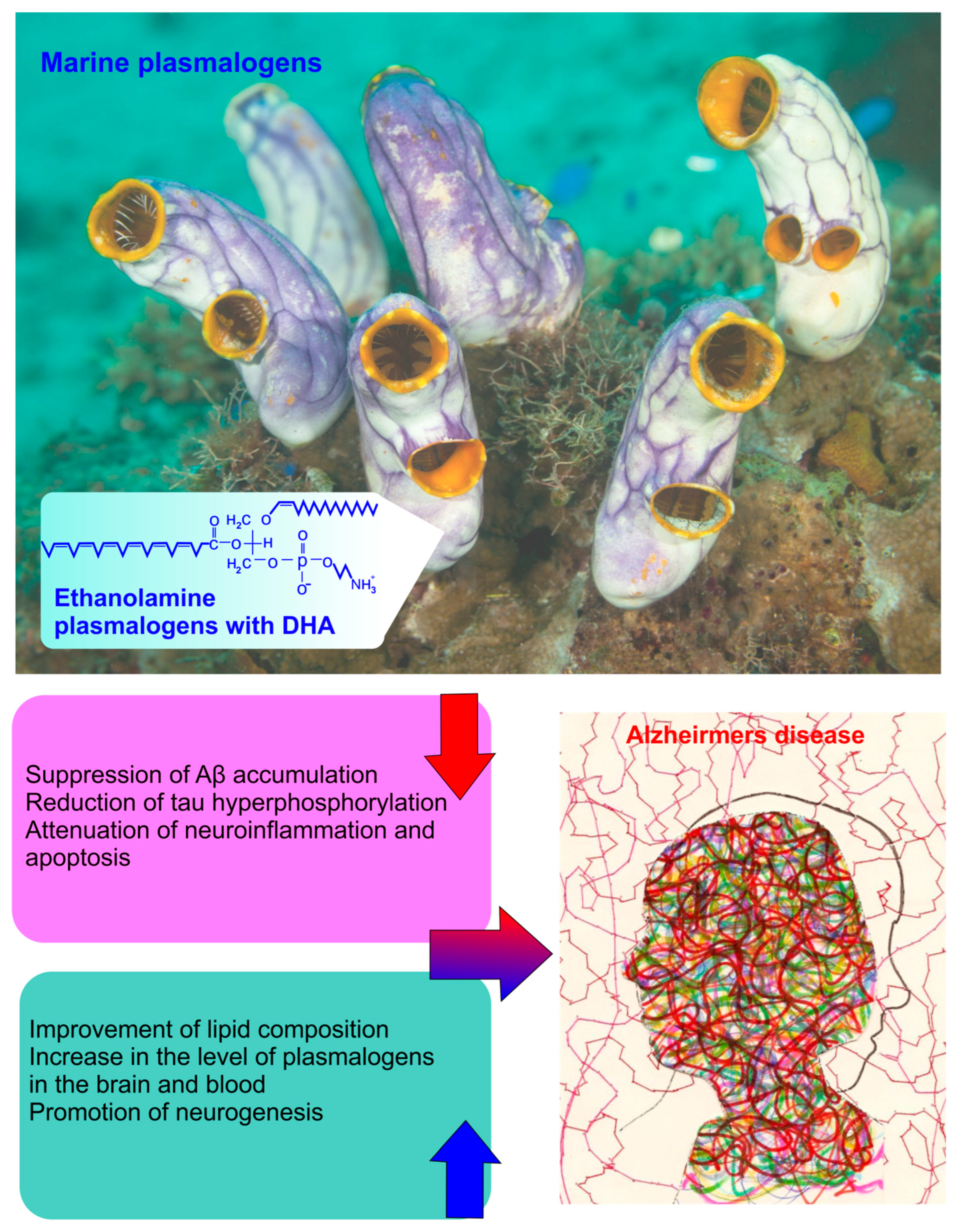 Pharmaceuticals 17 00788 g003