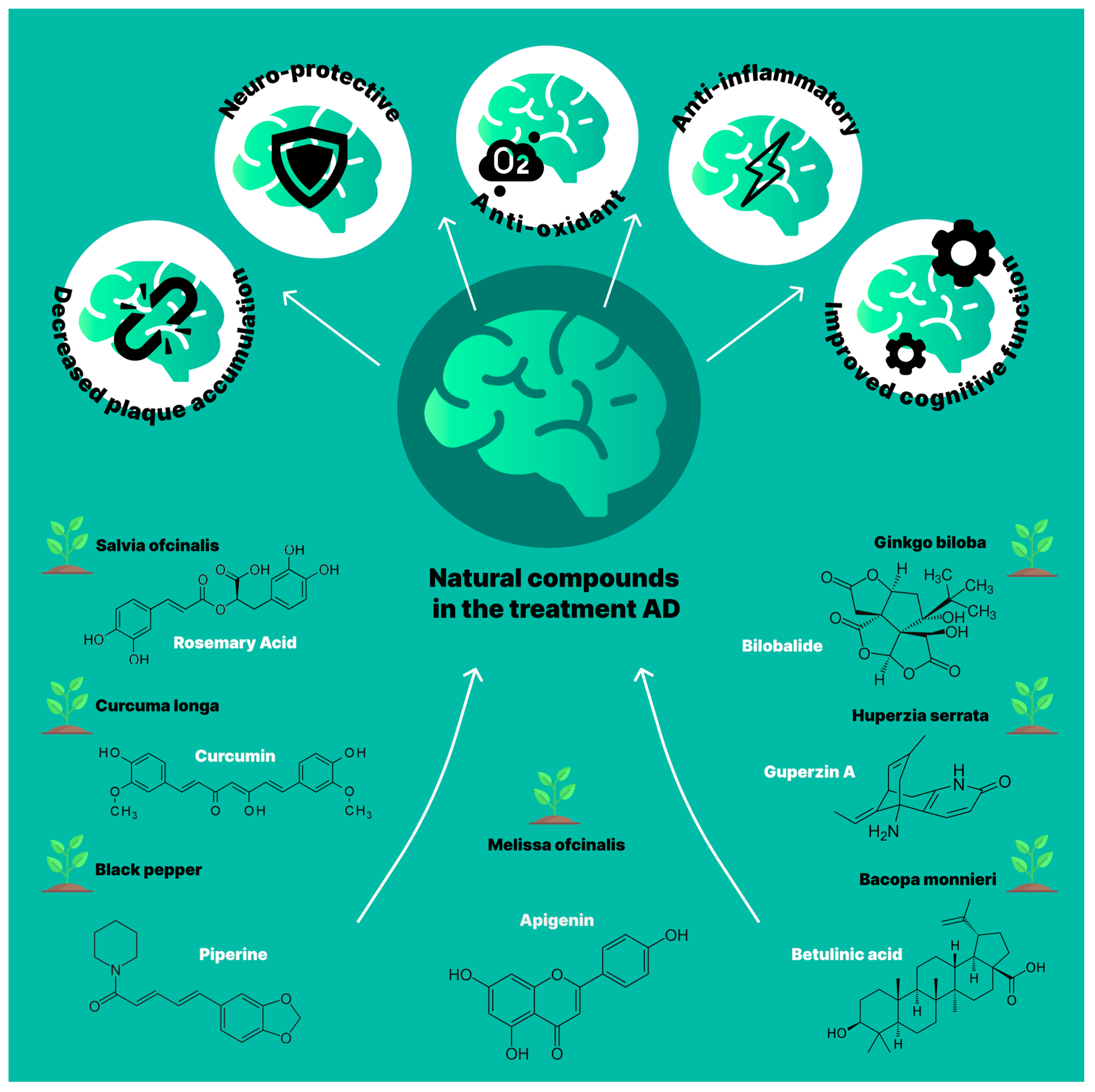 Pharmaceuticals 17 00788 g004