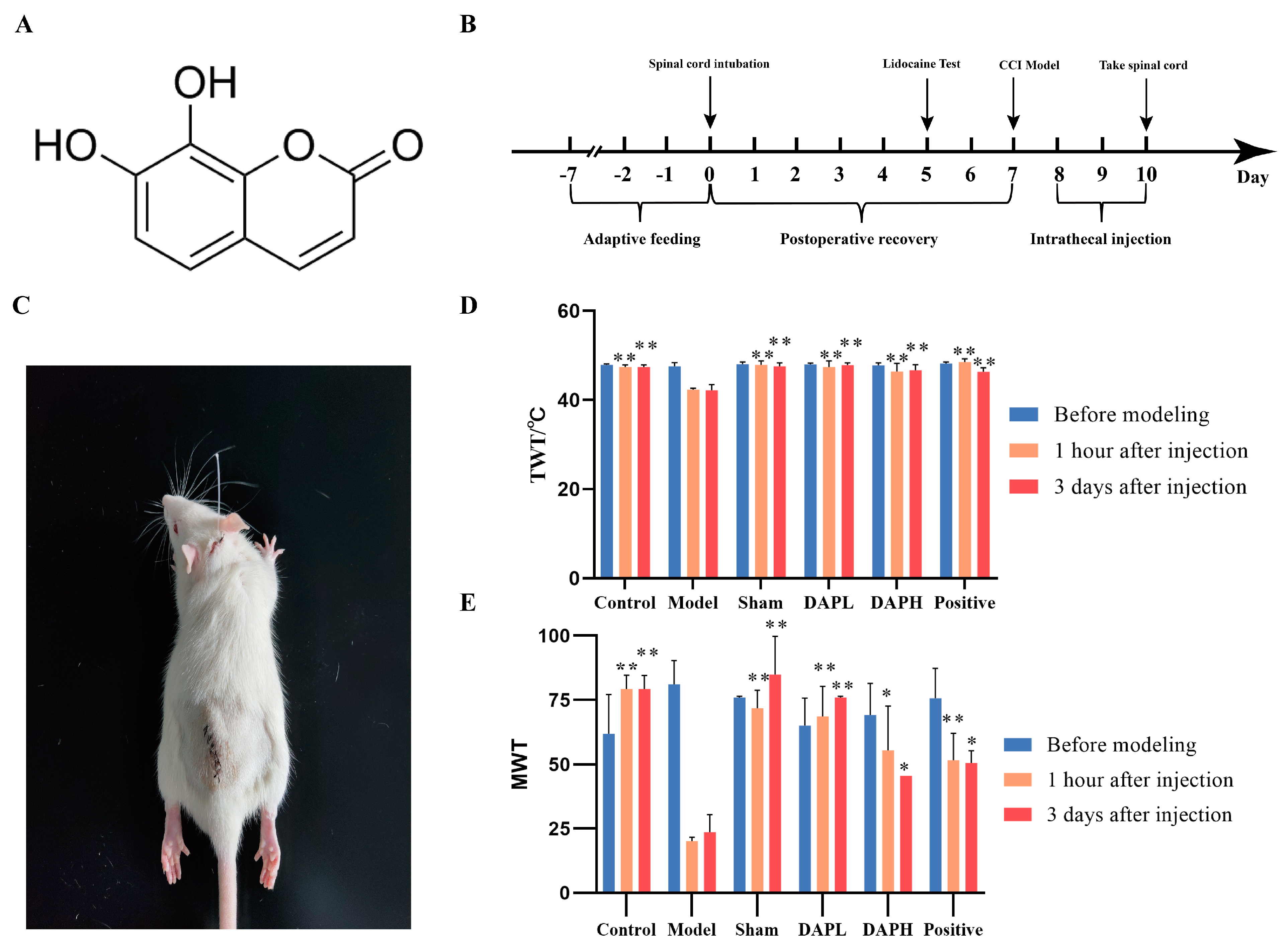 Pharmaceuticals 17 00789 g001 Pharmaceuticals 17 00789 g001