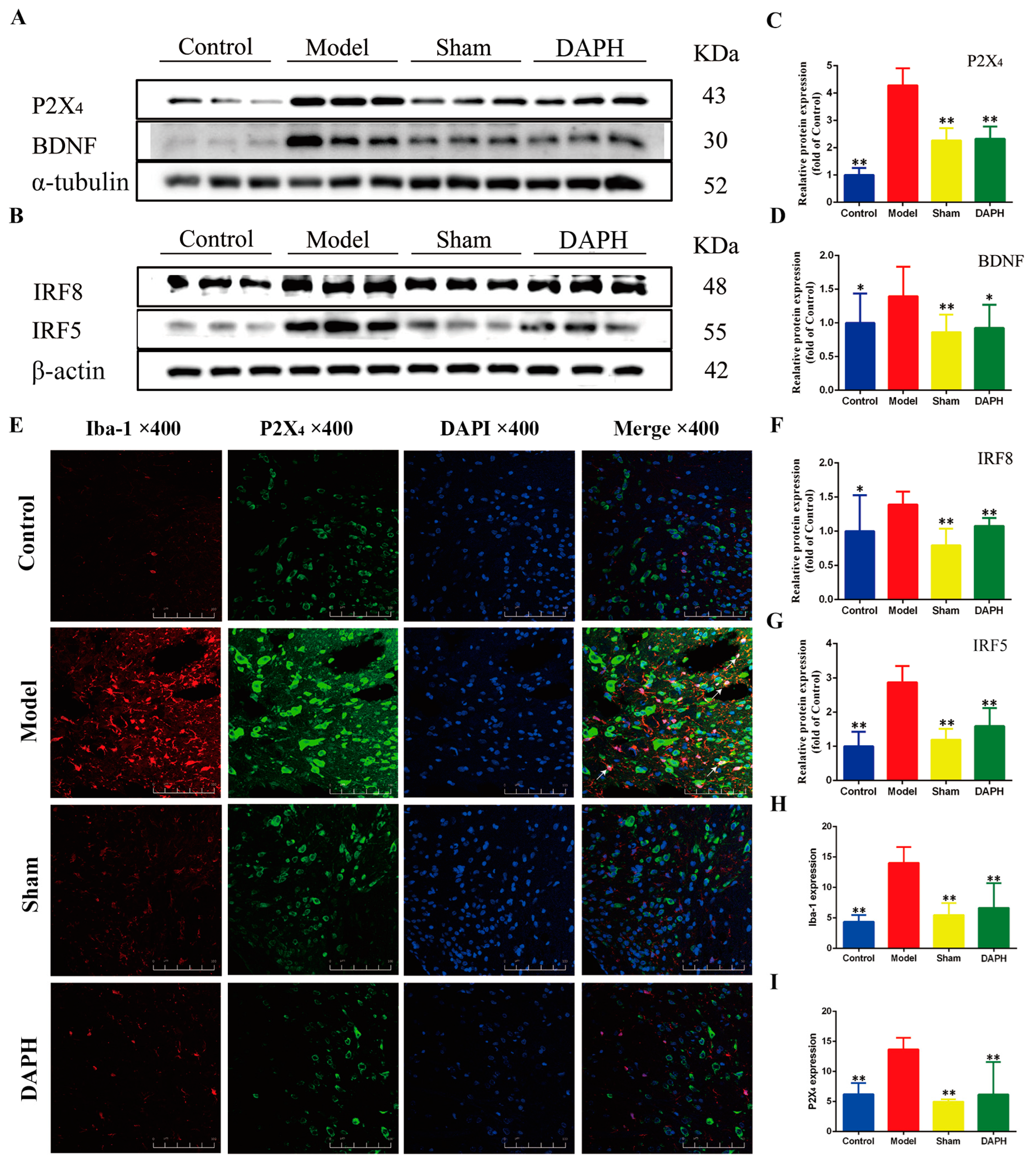Pharmaceuticals 17 00789 g003 Pharmaceuticals 17 00789 g003