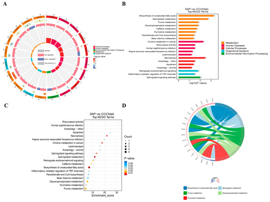 Daphnetin Ameliorates Neuropathic Pain via Regulation of