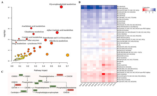 テスト Frontiers | Receptor-Interacting Protein Kinase 3 Inhibition