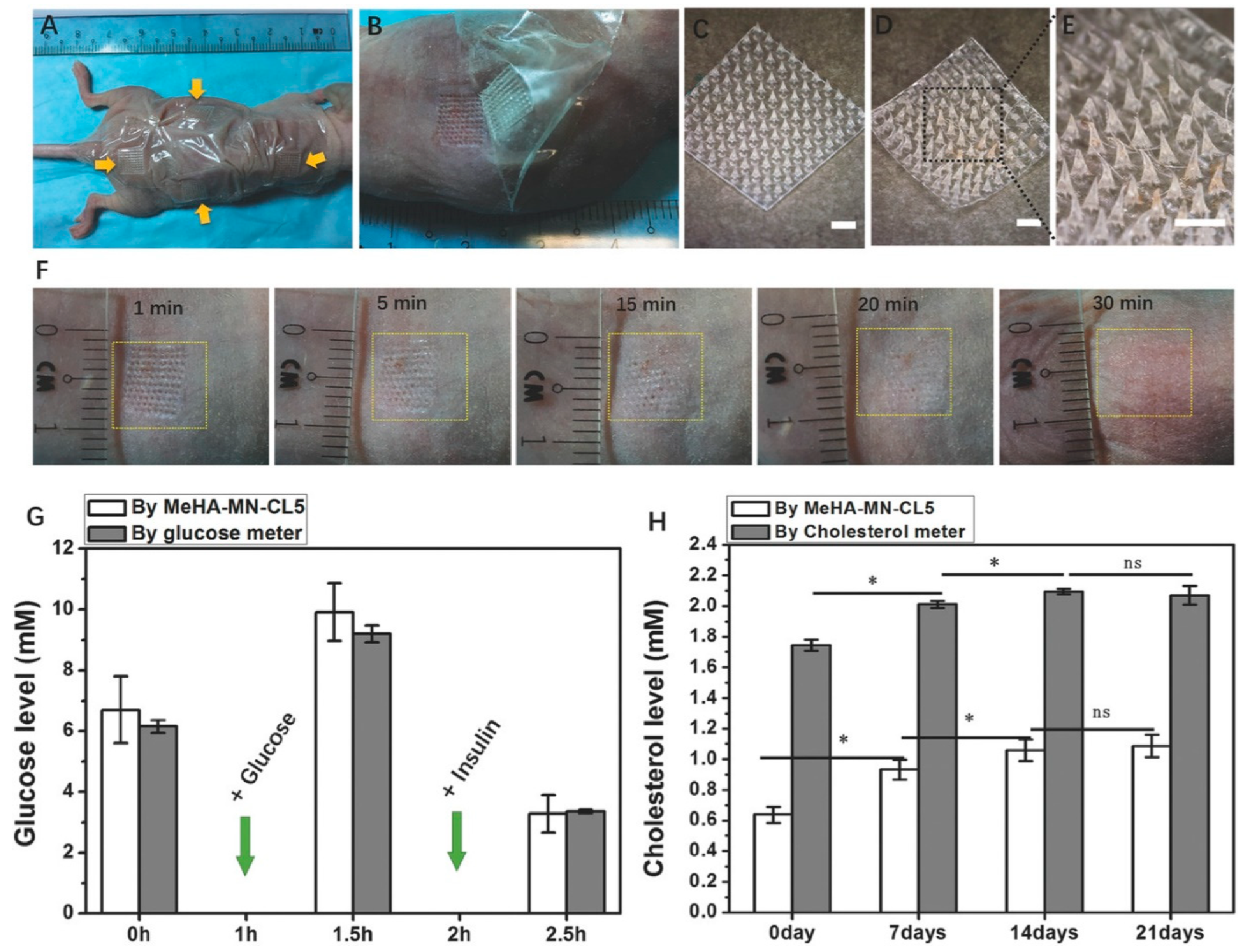 Pharmaceuticals 17 00791 g003