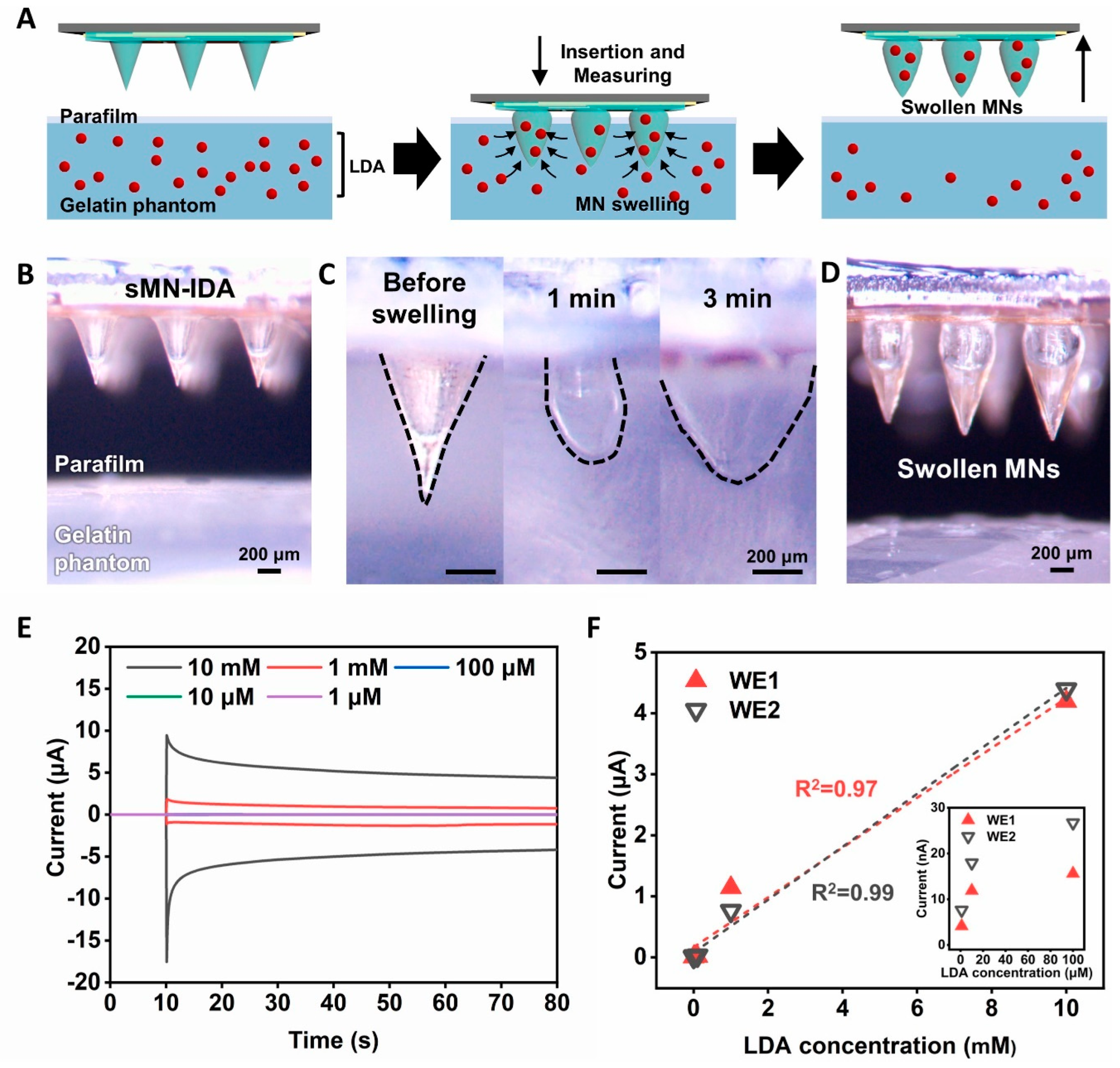Pharmaceuticals 17 00791 g004