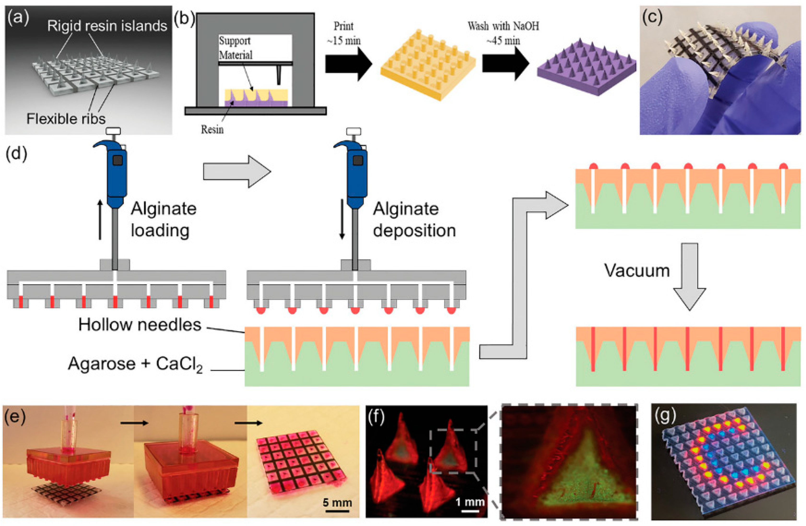 Pharmaceuticals 17 00791 g006