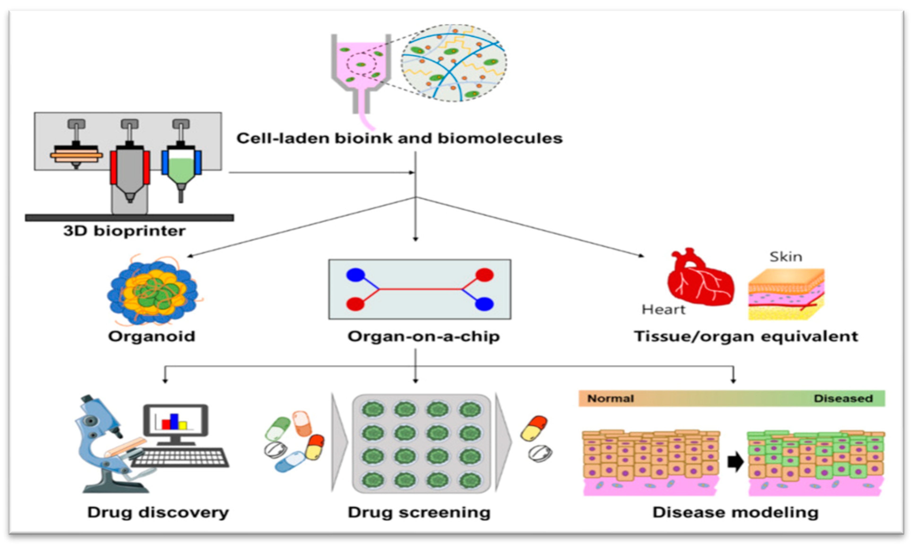 Pharmaceuticals 17 00797 g002