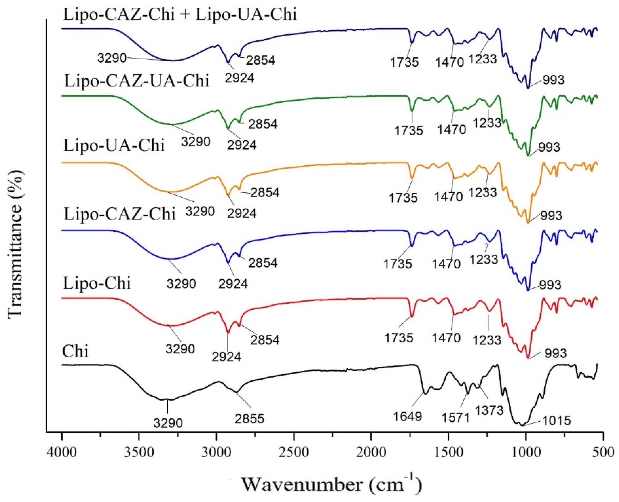 Pharmaceuticals 17 00802 g003