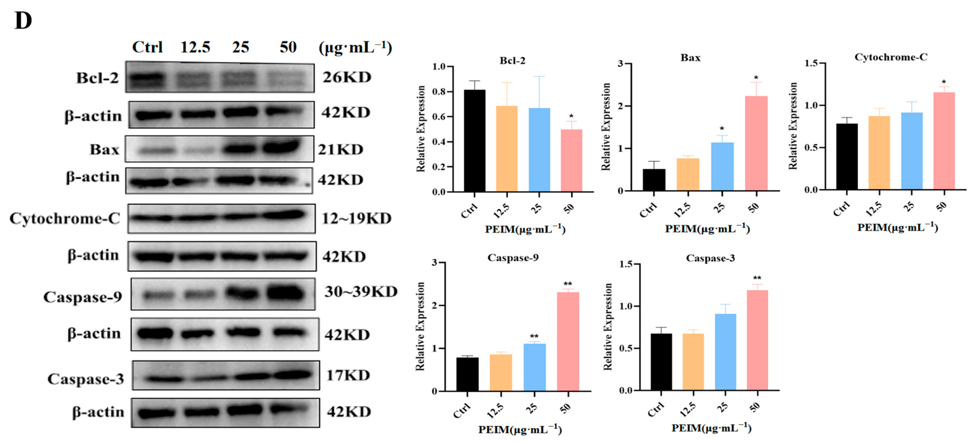 Pharmaceuticals 17 00806 g007b