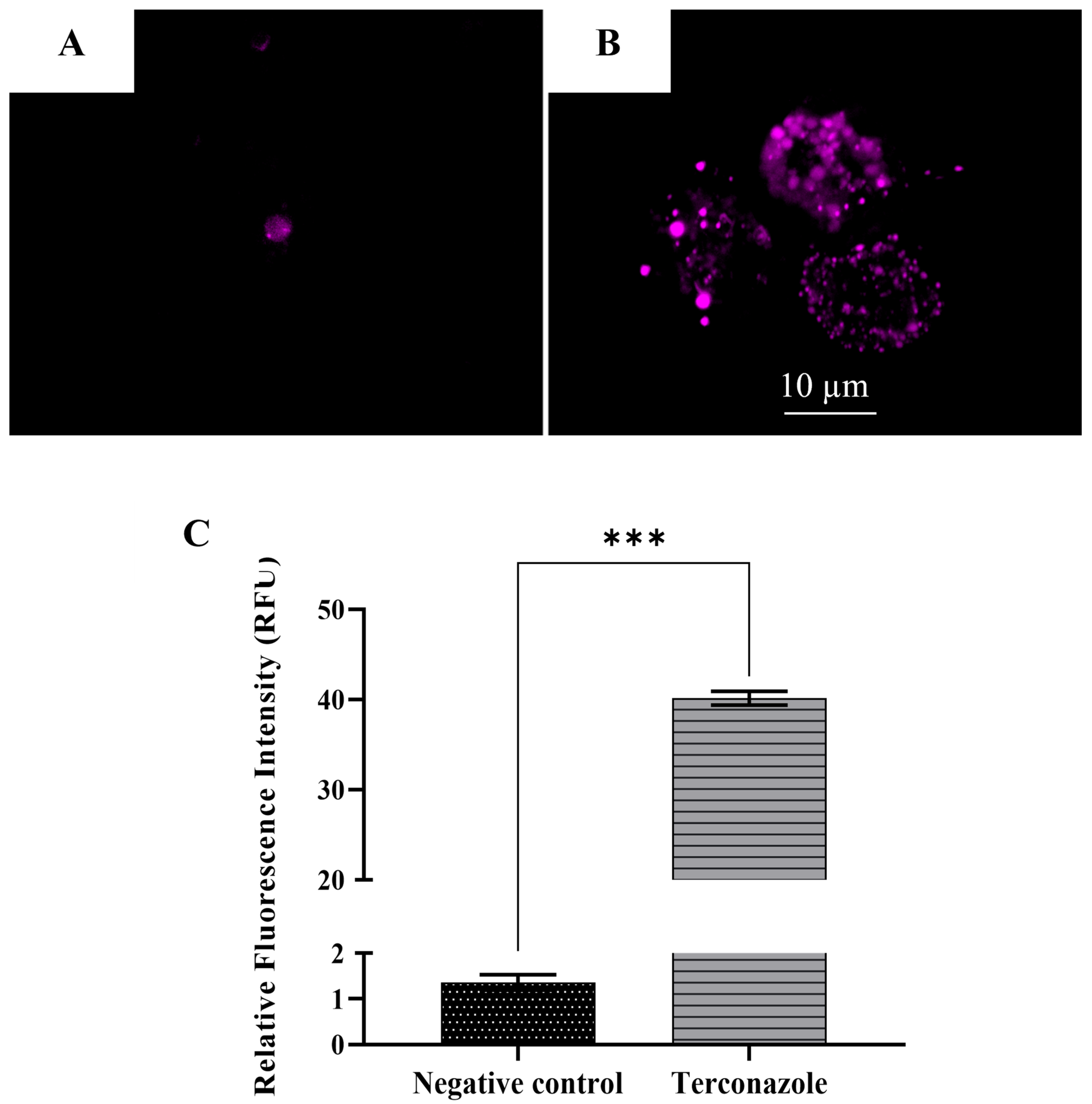 Pharmaceuticals 17 00808 g008