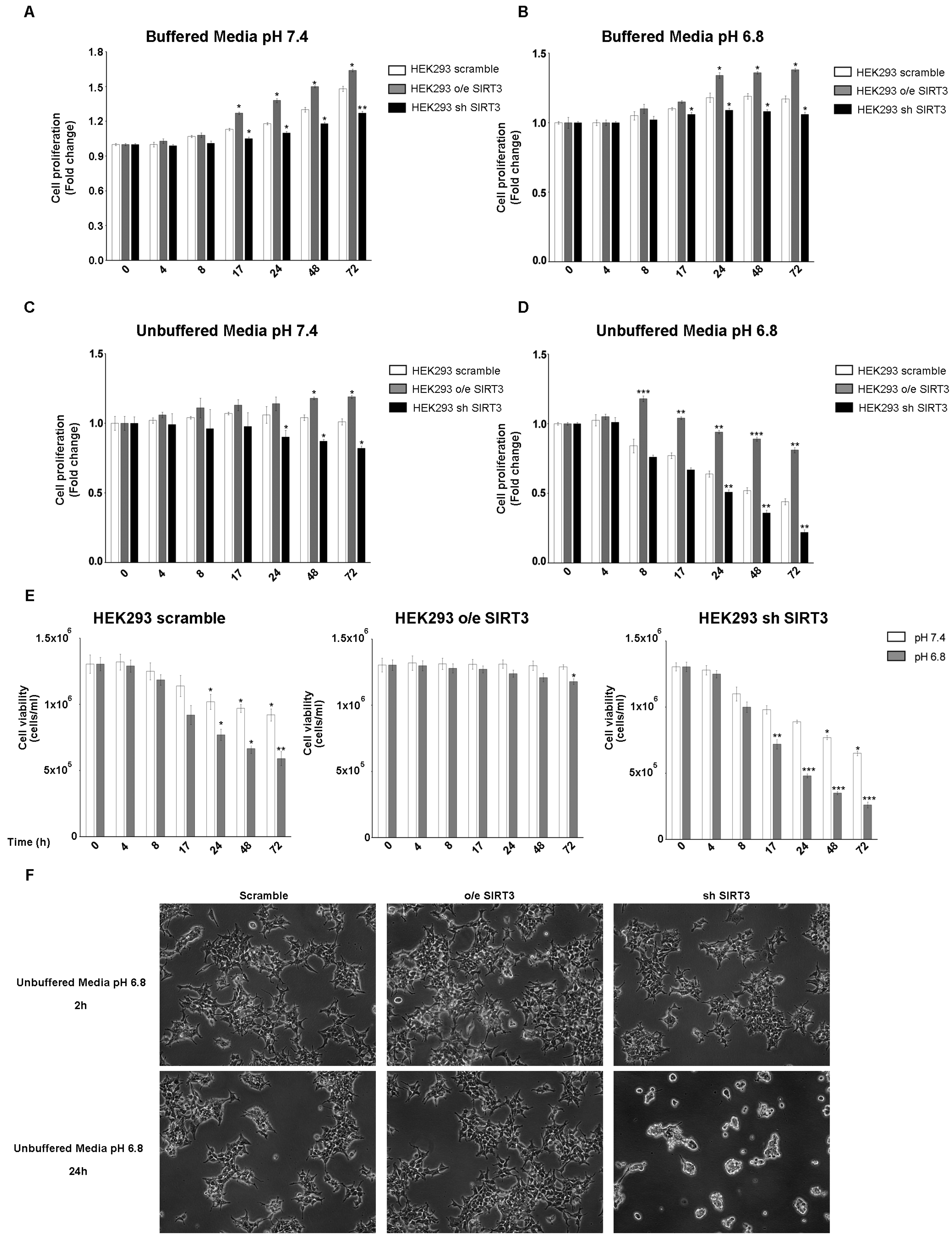 Pharmaceuticals 17 00810 g002