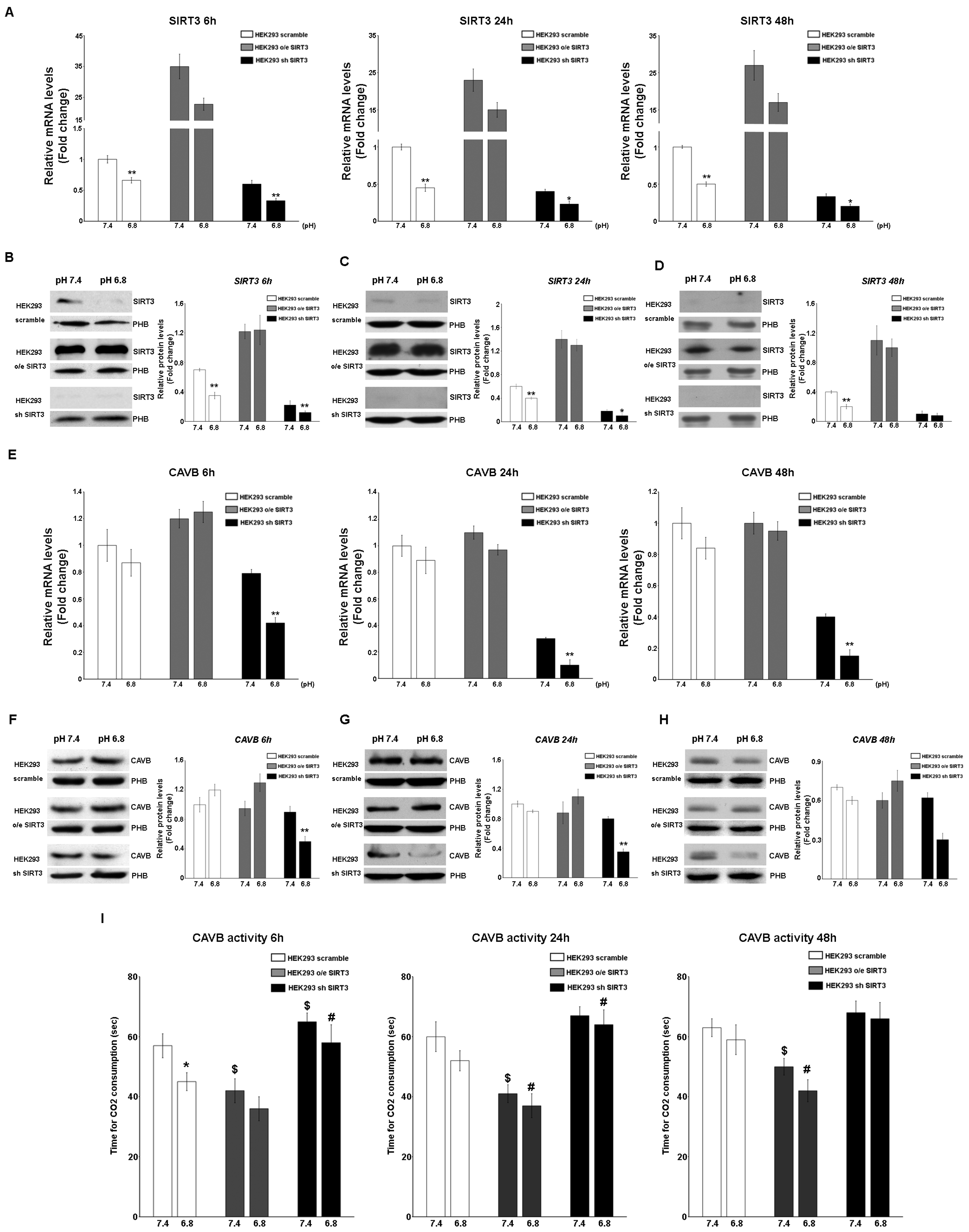 Pharmaceuticals 17 00810 g004