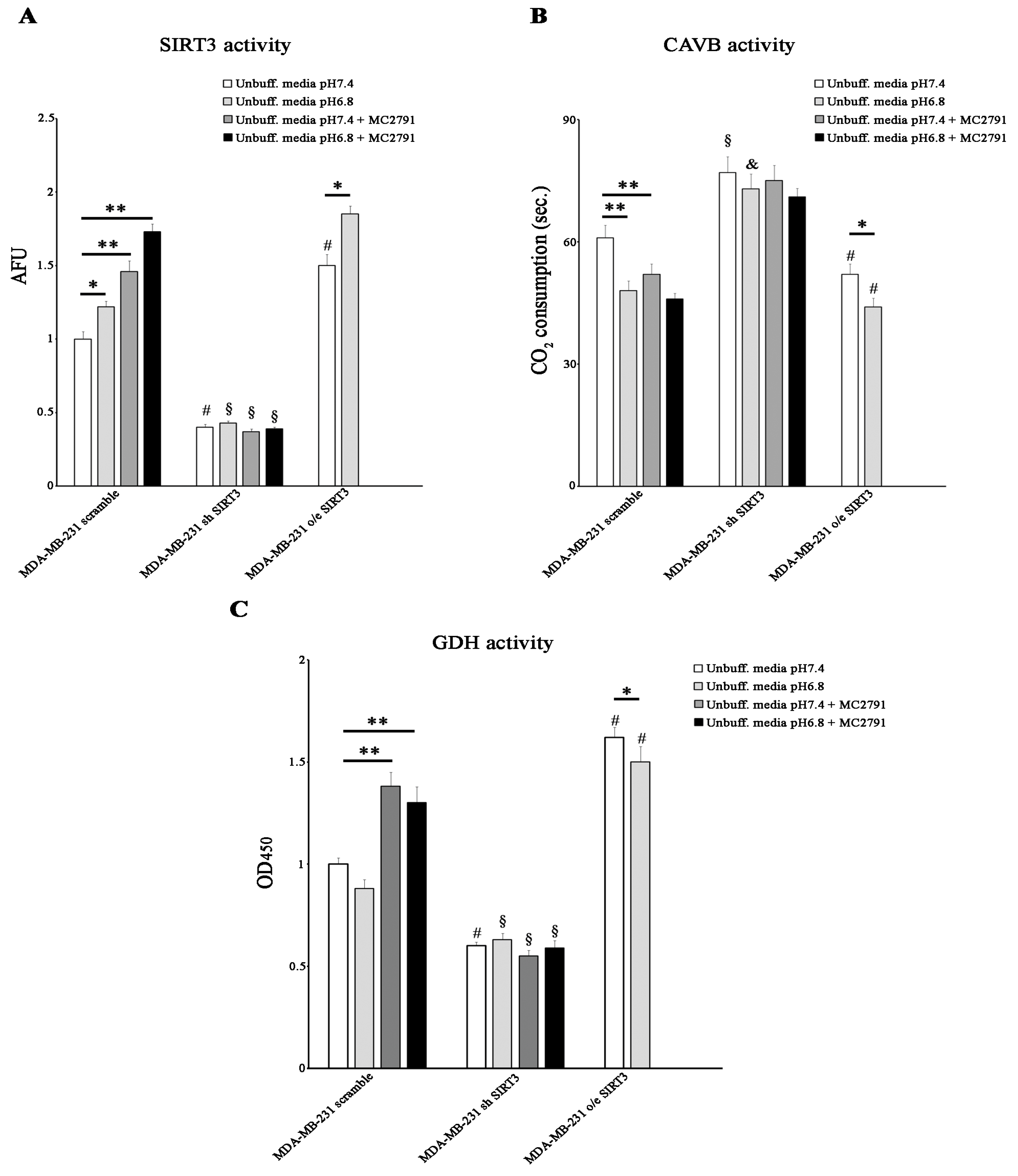 Pharmaceuticals 17 00810 g006