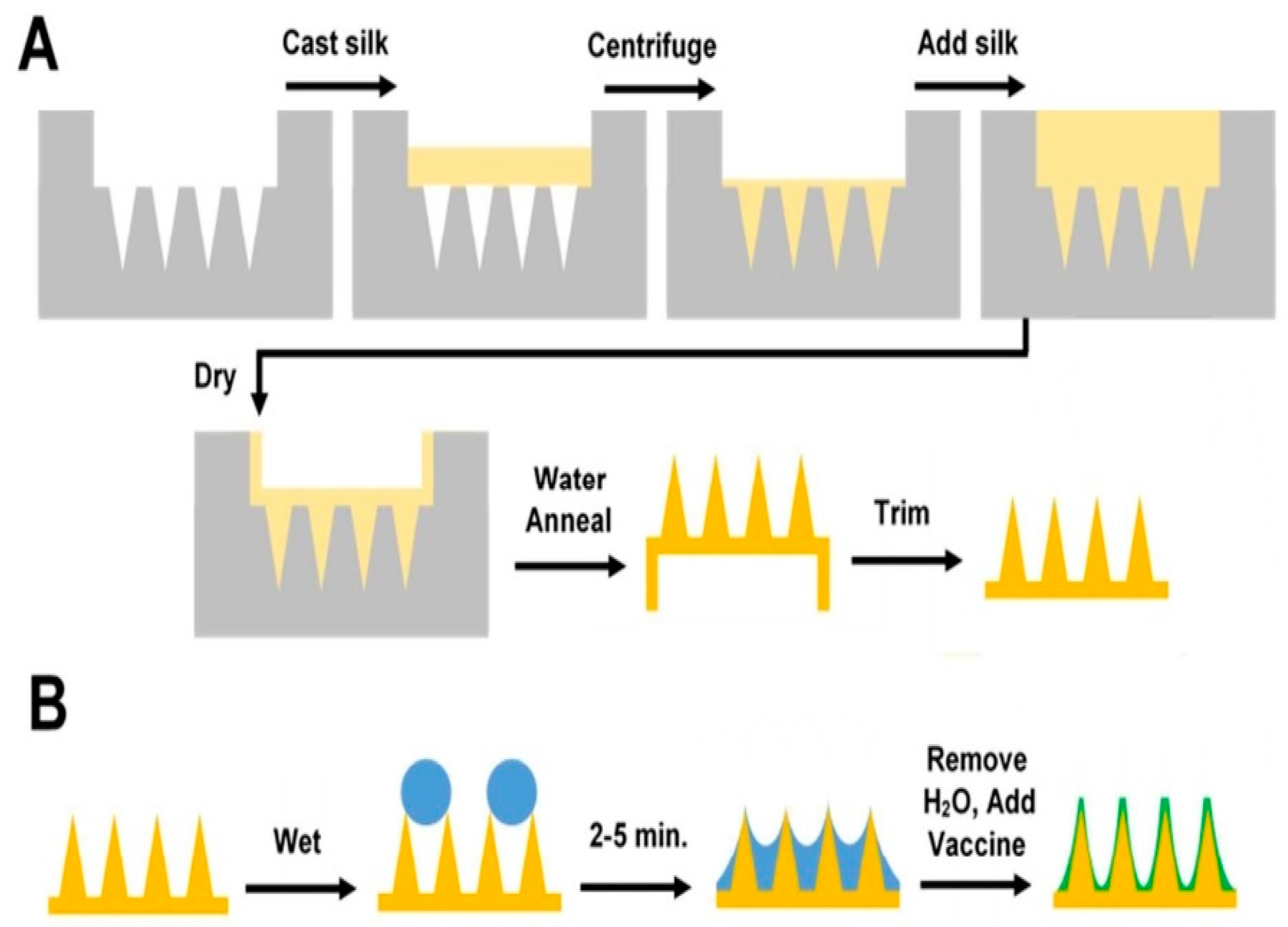 Pharmaceuticals 17 00817 g002