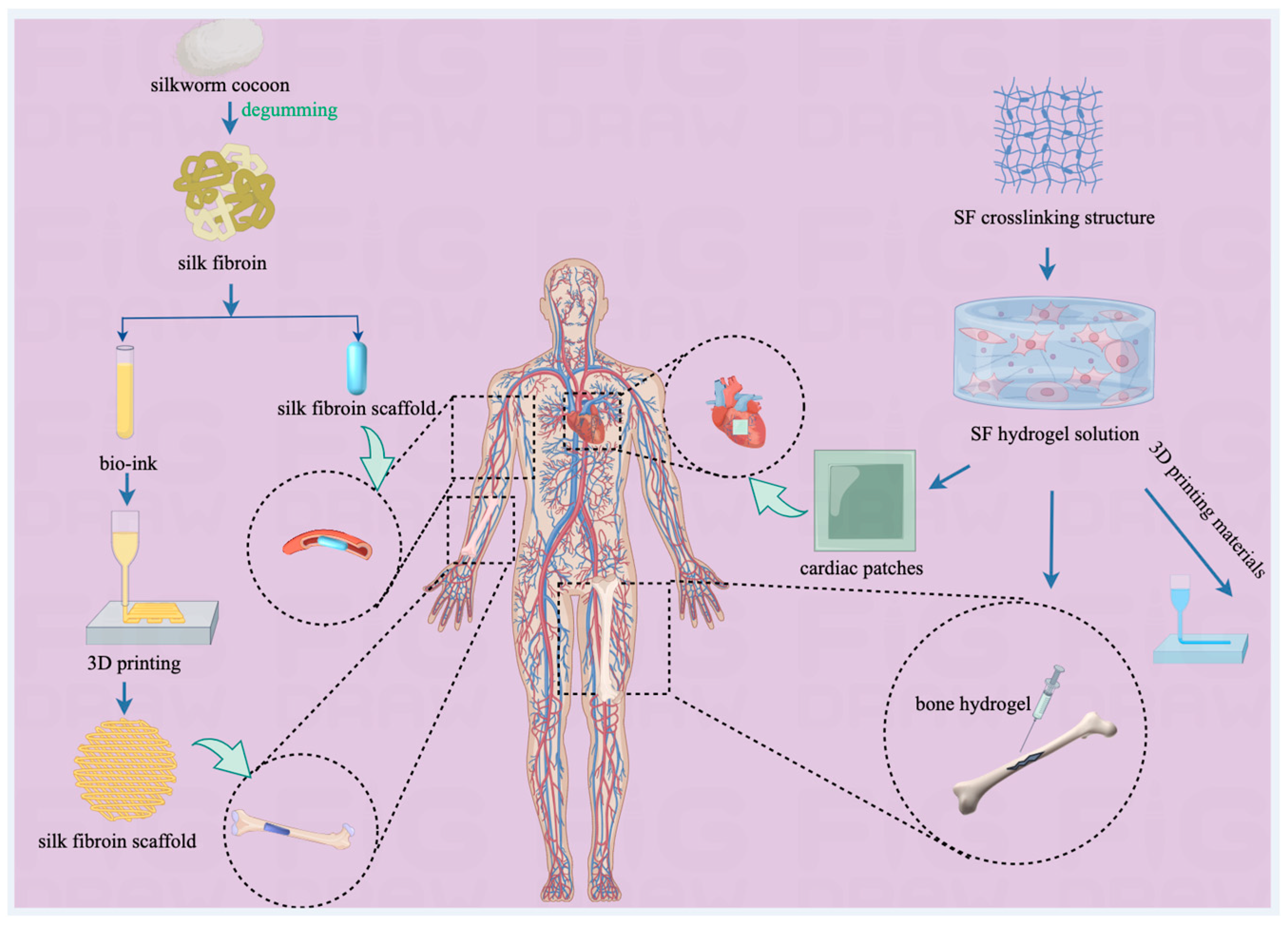 Pharmaceuticals 17 00817 g003