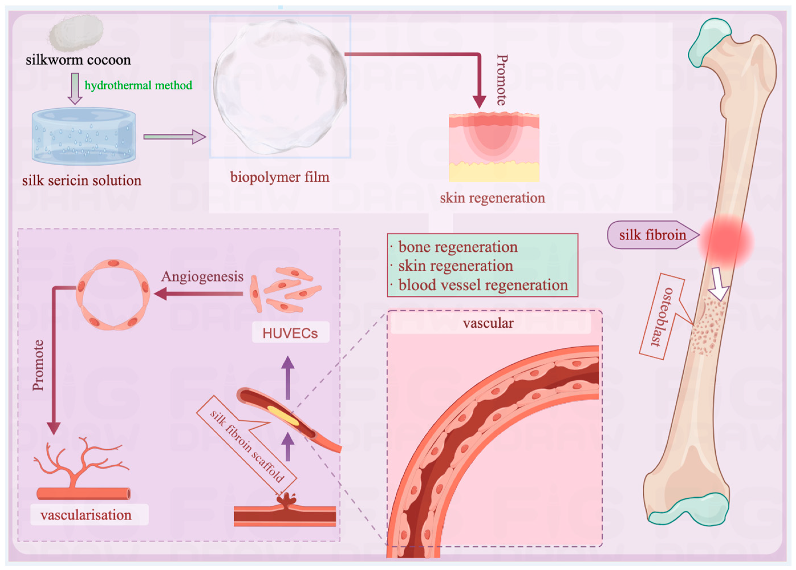 Pharmaceuticals 17 00817 g005