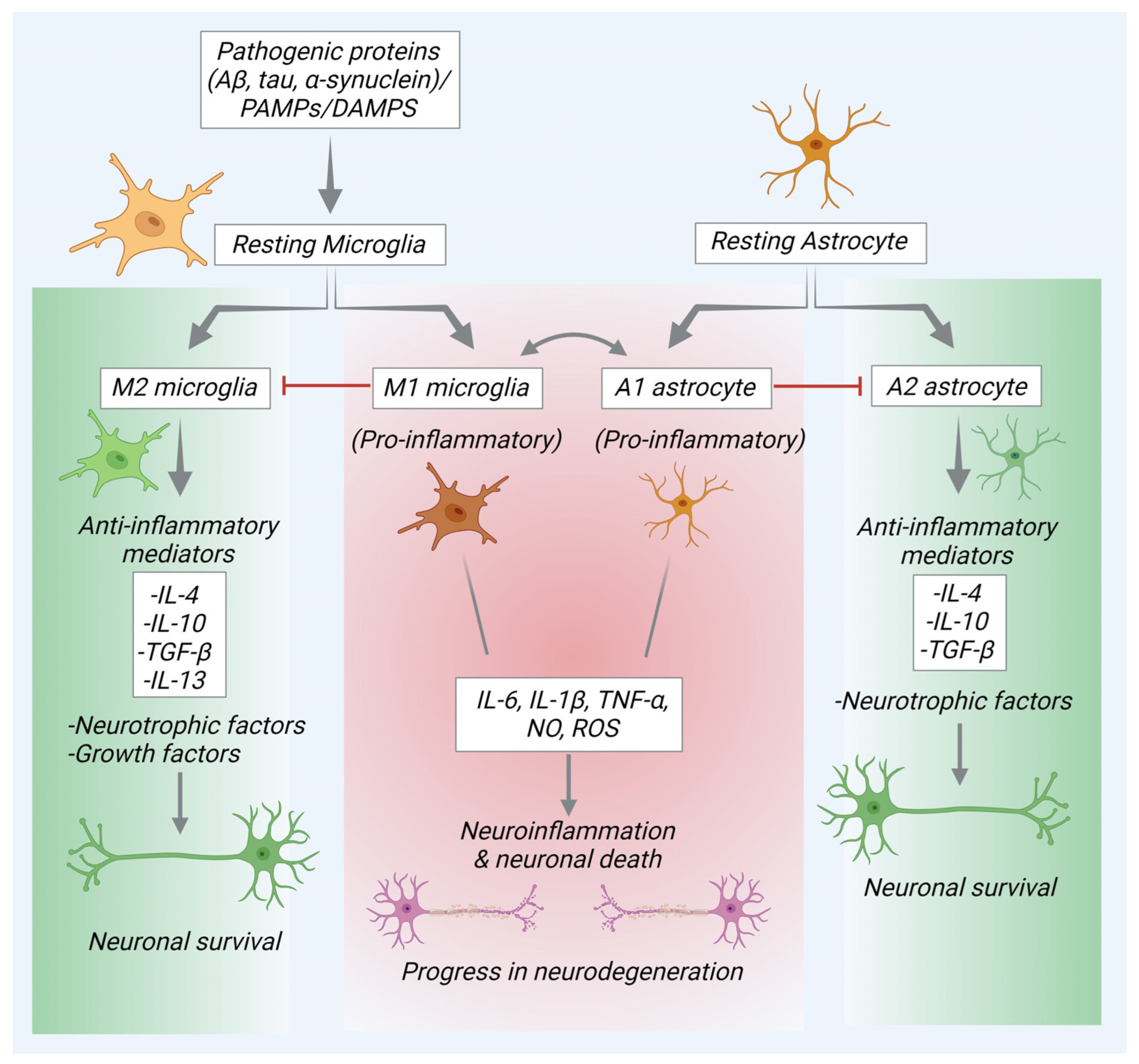 Pharmaceuticals 17 00831 g001