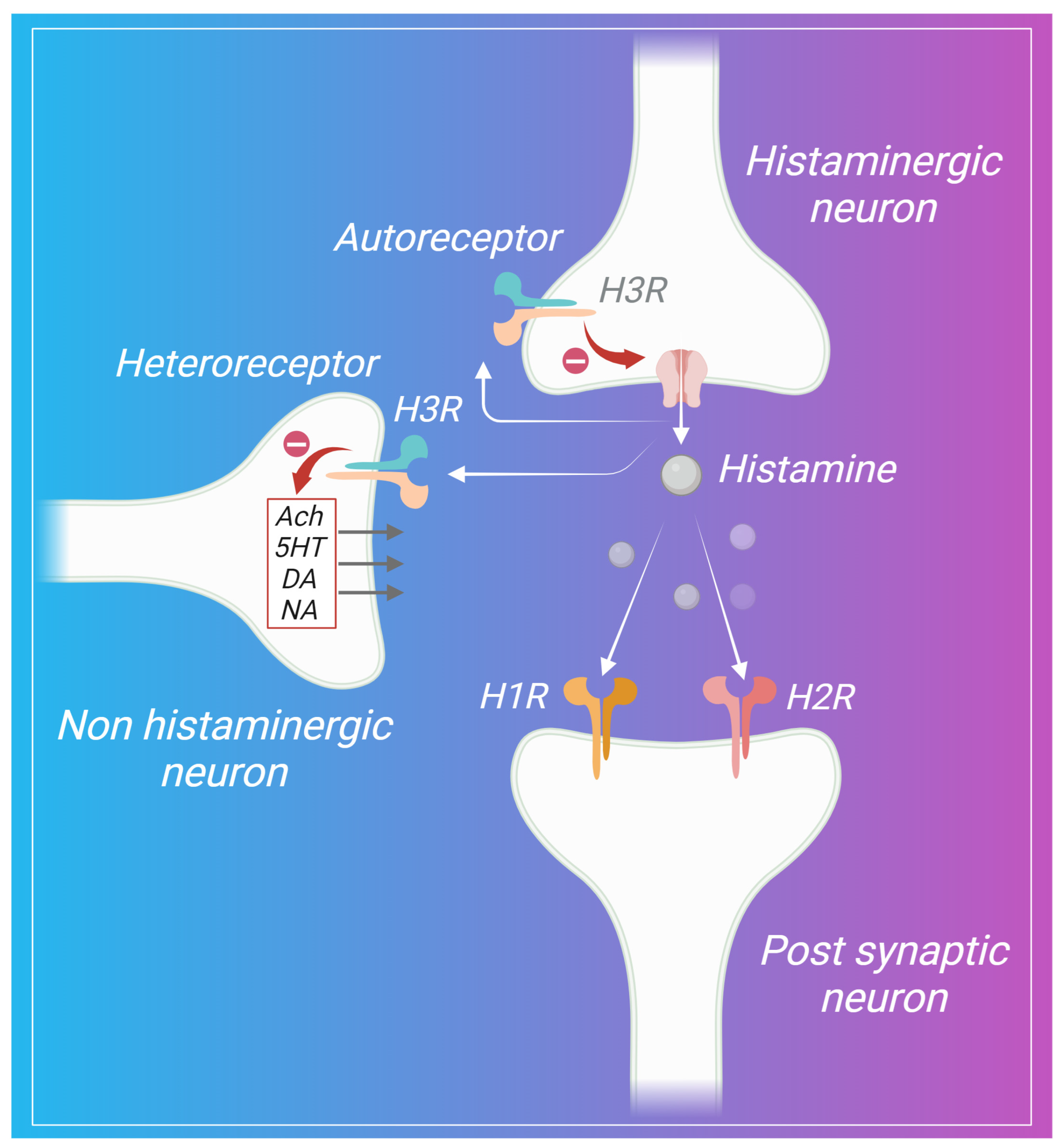 Pharmaceuticals 17 00831 g002