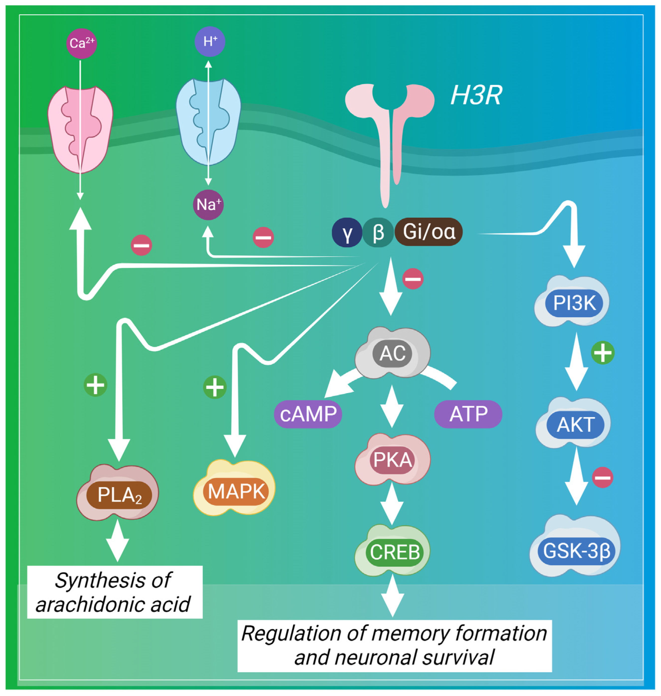 Pharmaceuticals 17 00831 g003