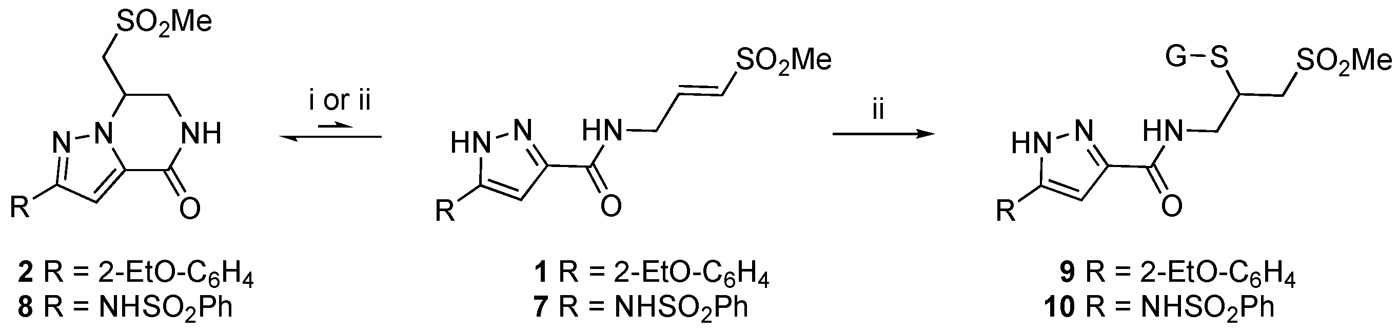 Pharmaceuticals 17 00836 sch004