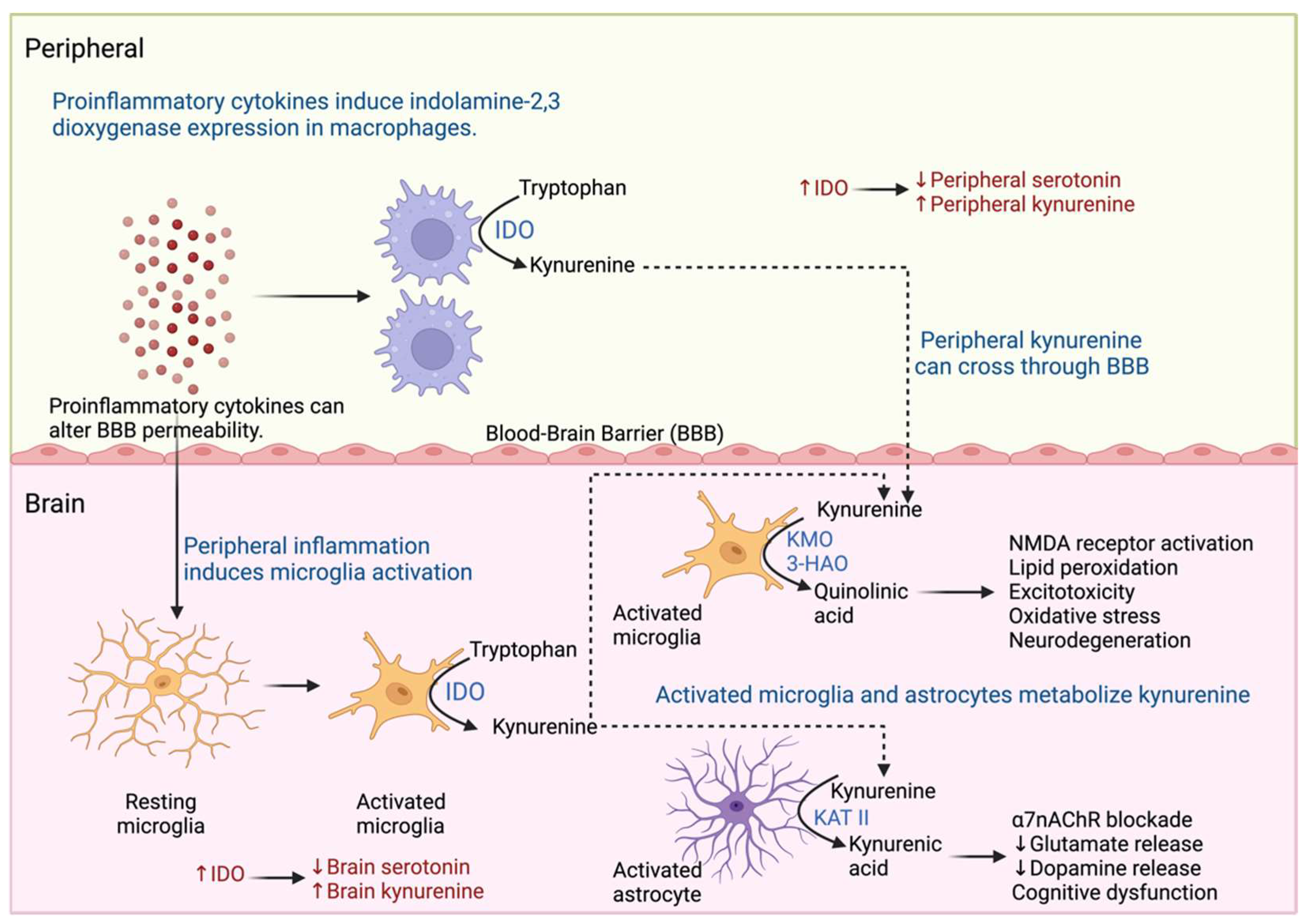 Pharmaceuticals 17 00841 g005 Pharmaceuticals 17 00841 g005