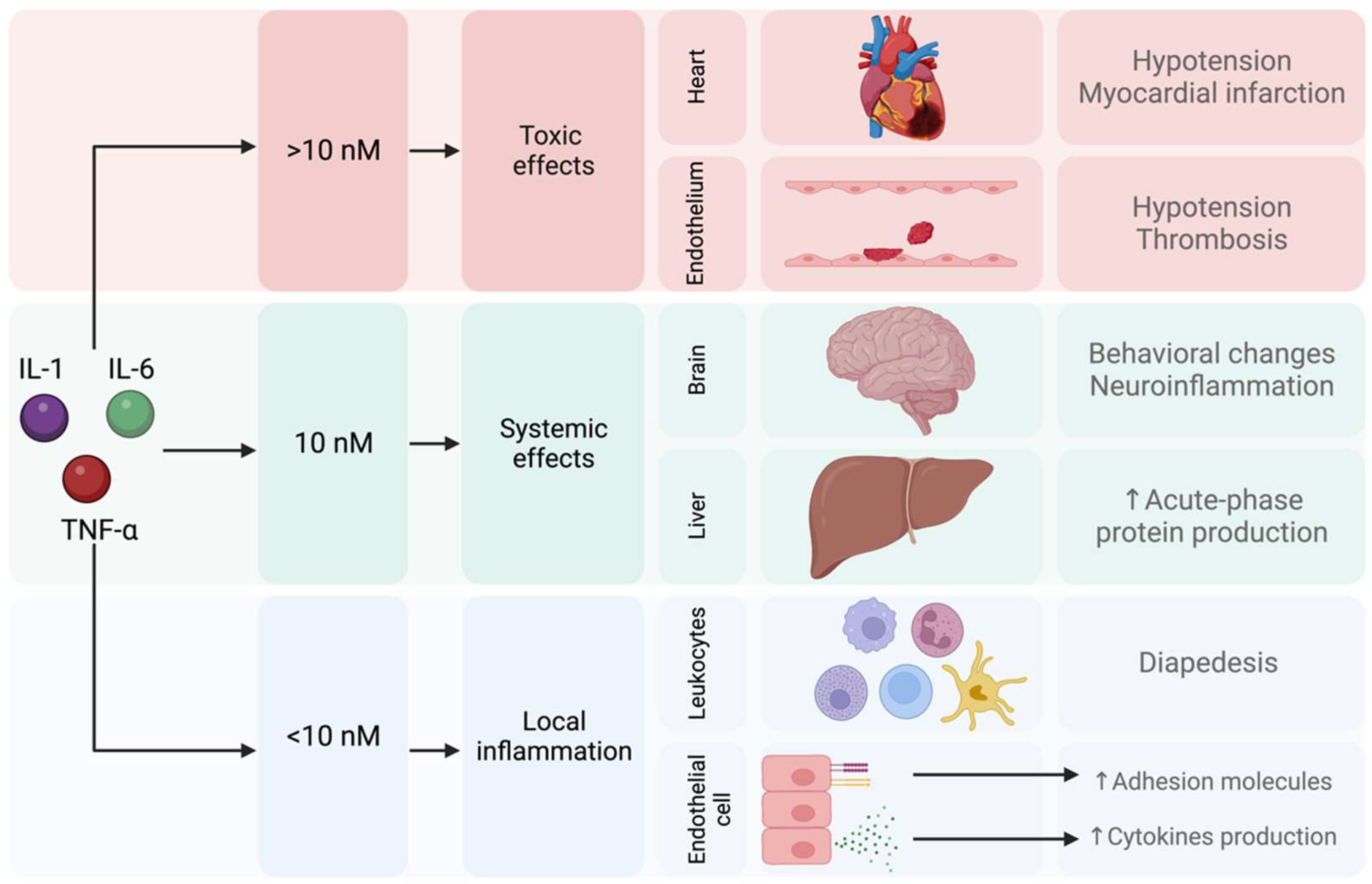 Pharmaceuticals 17 00841 g006 Pharmaceuticals 17 00841 g006